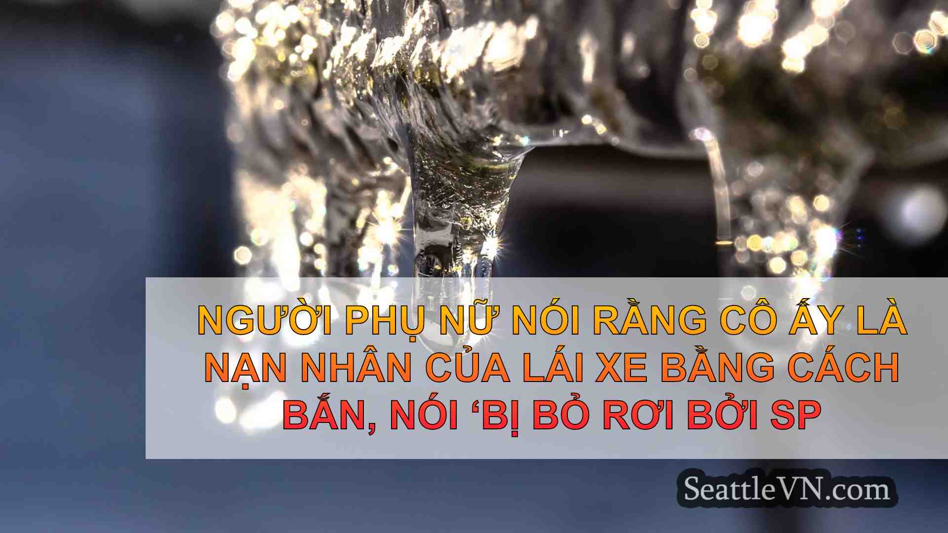 tin tức seattle SeattleVN