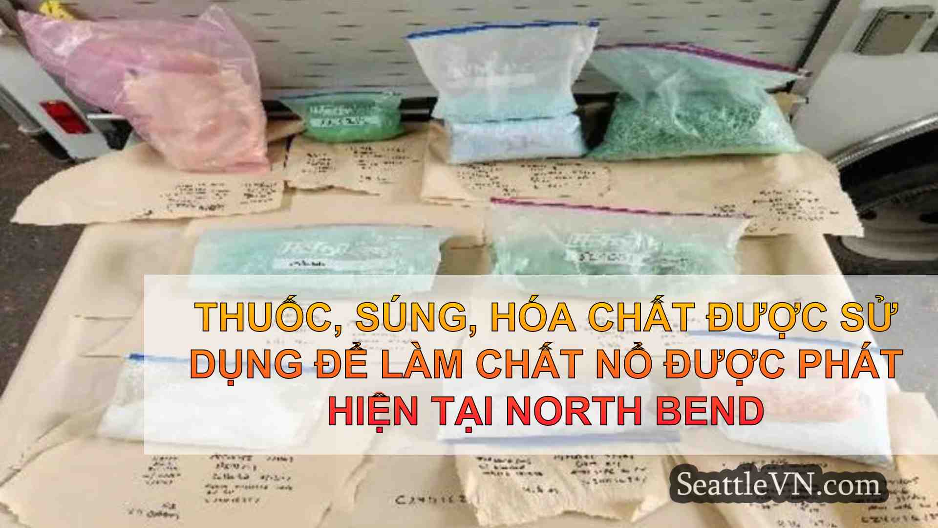 tin tức seattle SeattleVN