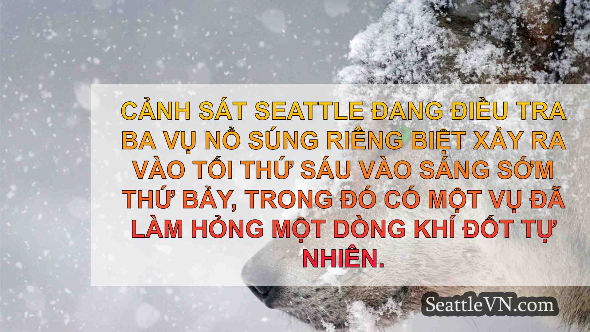 tin tức seattle SeattleVN