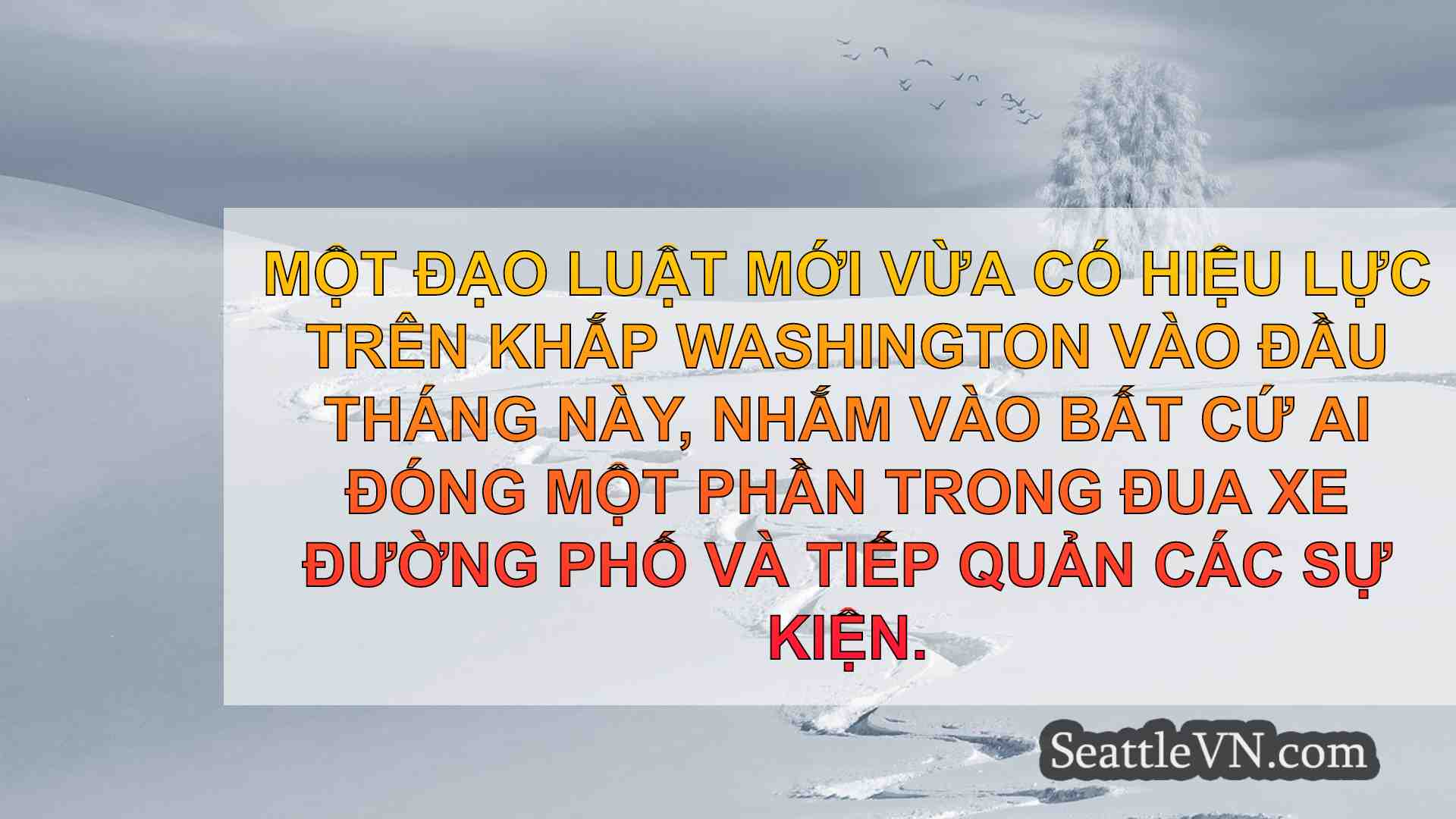 tin tức seattle SeattleVN