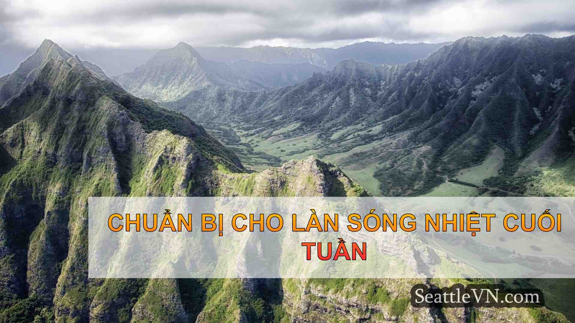 tin tức seattle SeattleVN