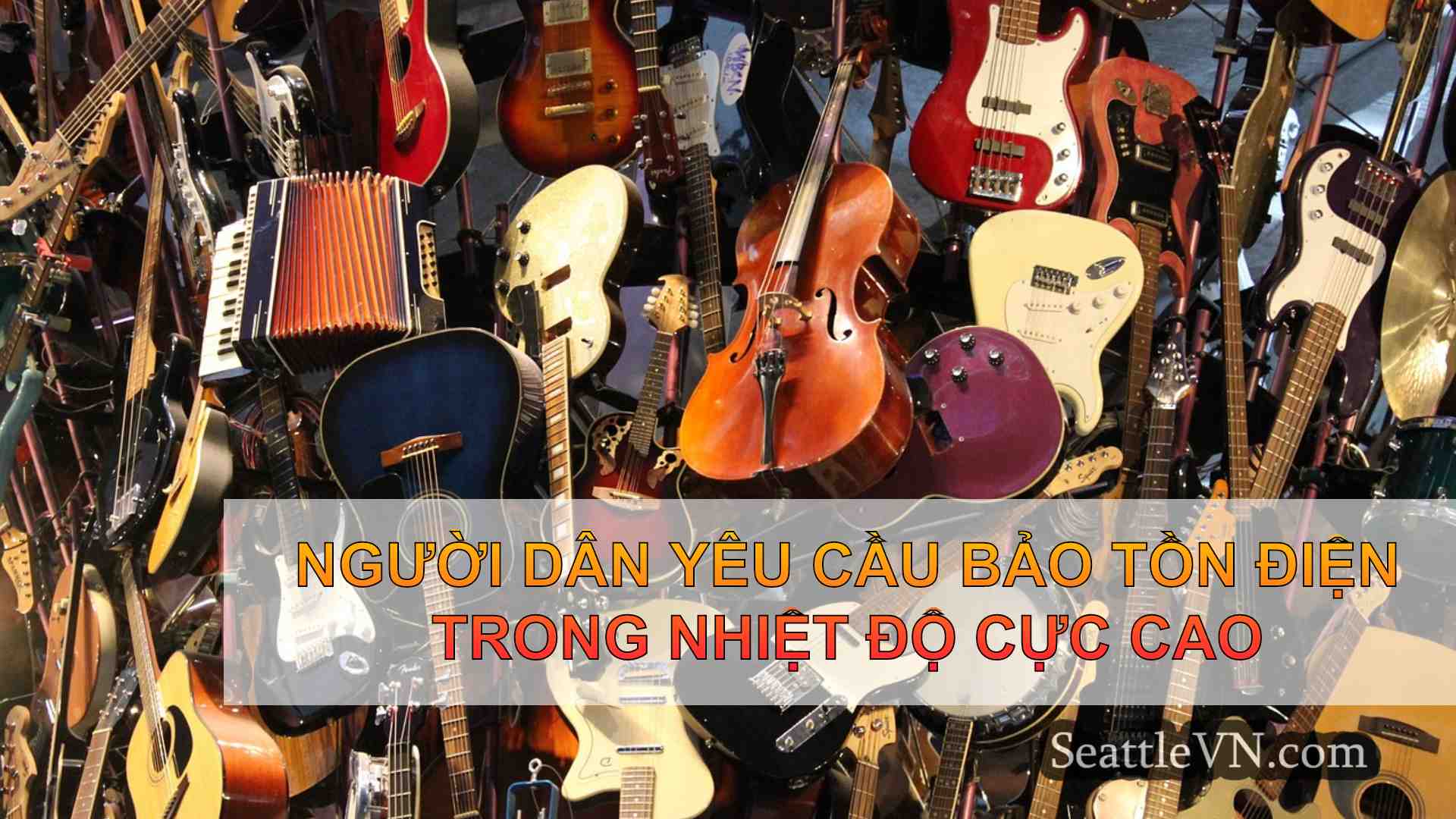 Người dân yêu cầu bảo tồn điện trong