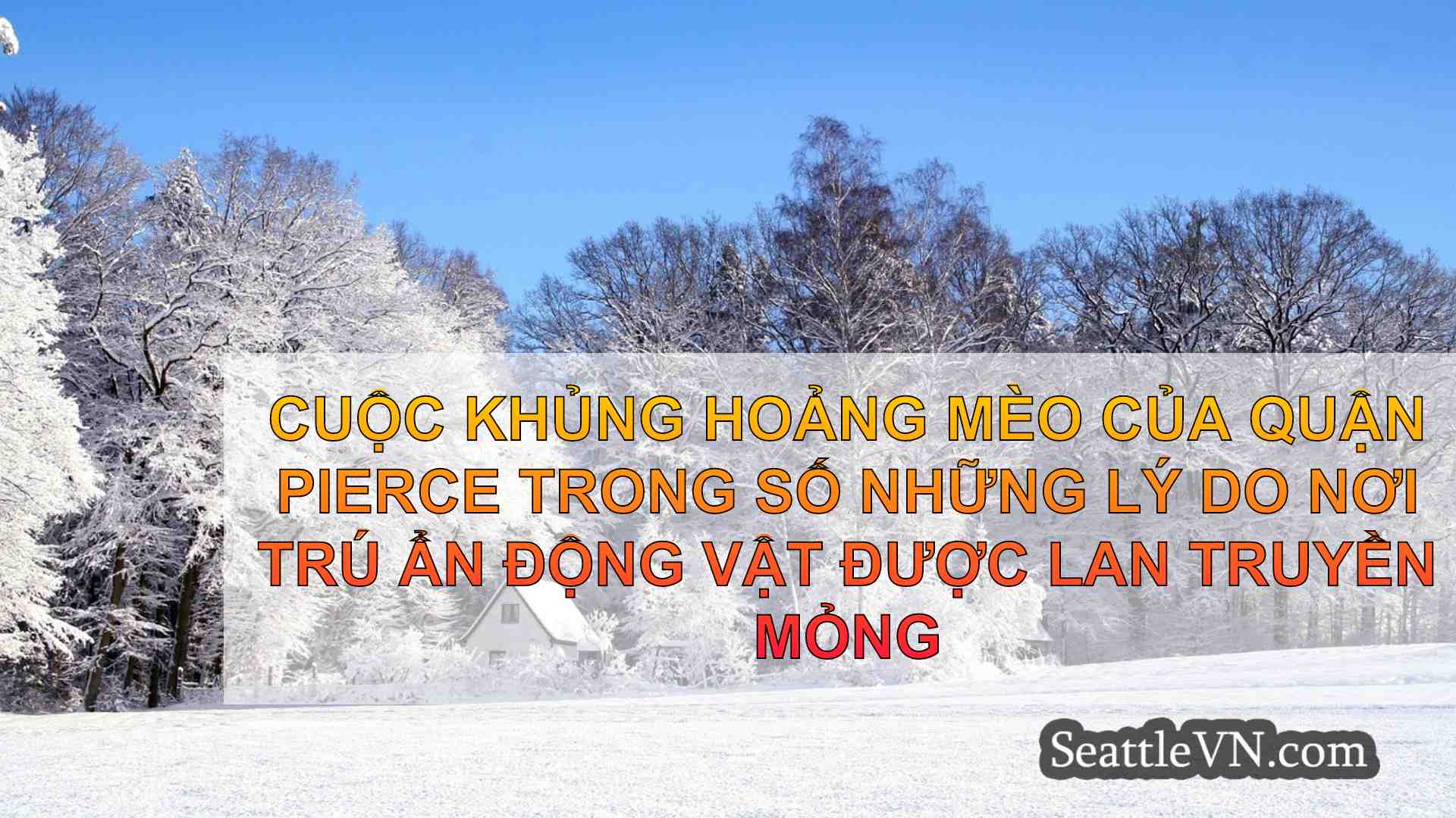 tin tức seattle SeattleVN
