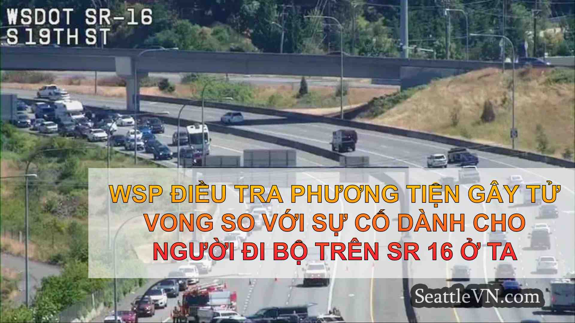 WSP điều tra phương tiện gây tử vong so