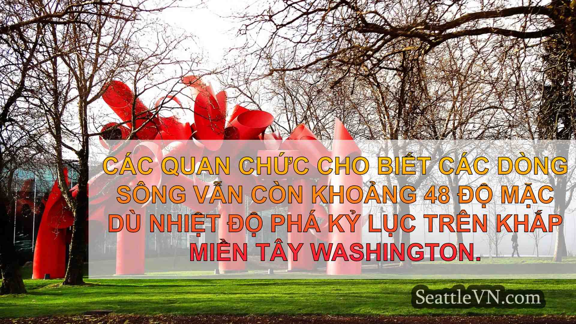 tin tức seattle SeattleVN