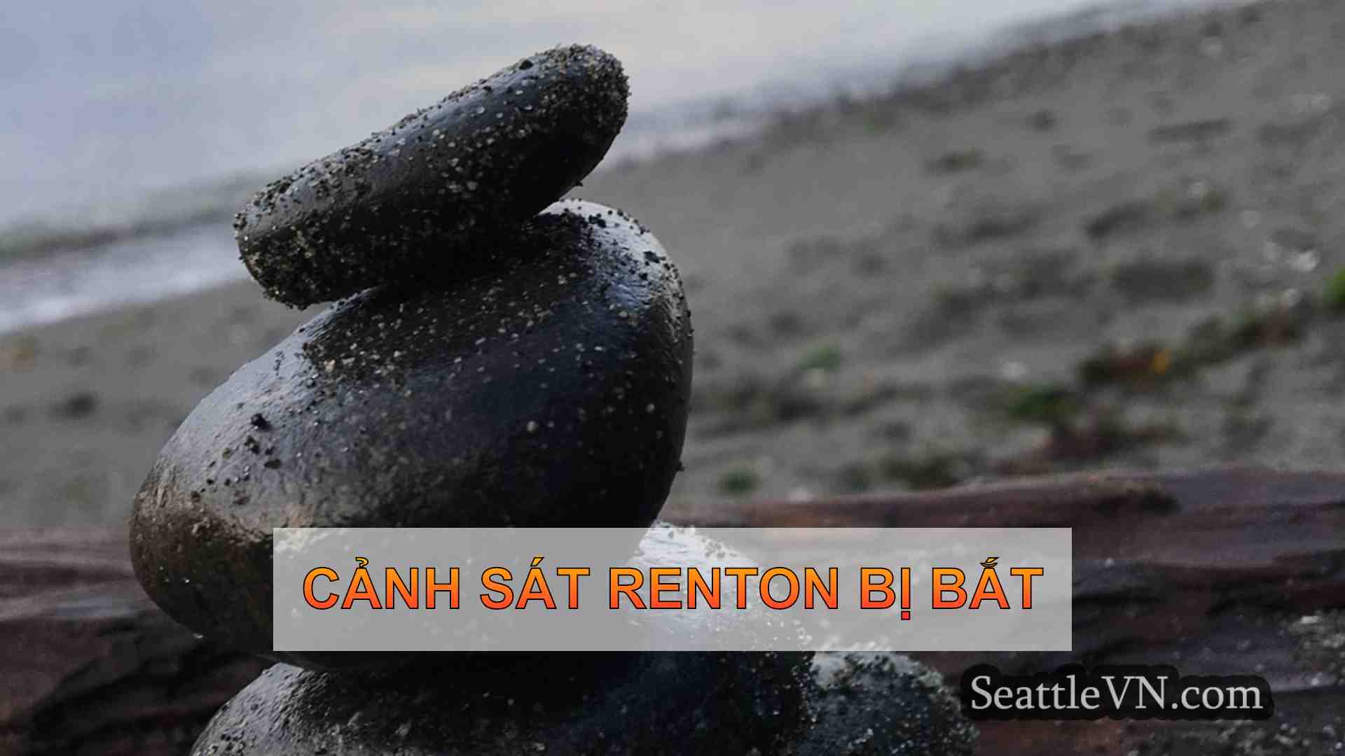 tin tức seattle SeattleVN