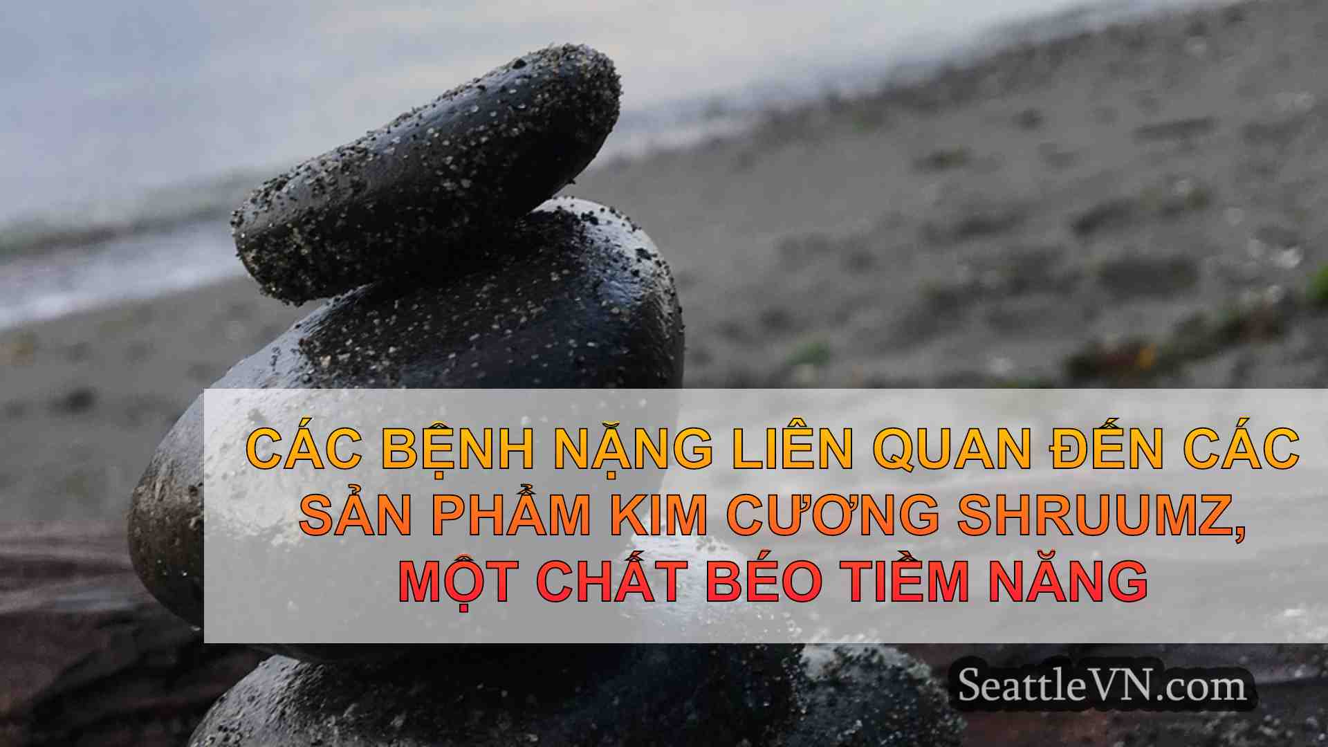 tin tức seattle SeattleVN