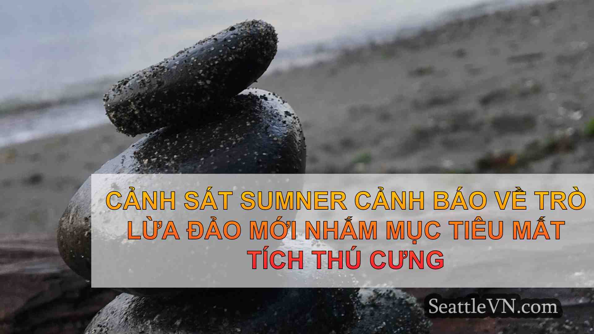 Cảnh sát Sumner cảnh báo về trò lừa đảo
