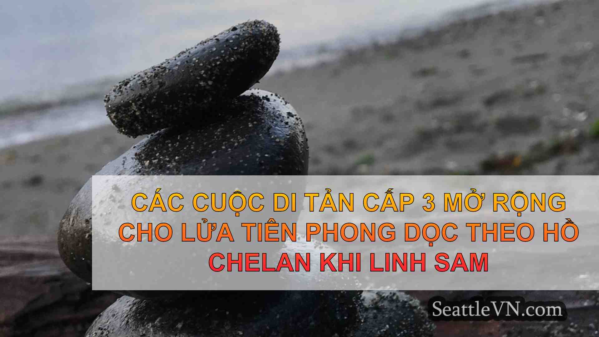 tin tức seattle SeattleVN