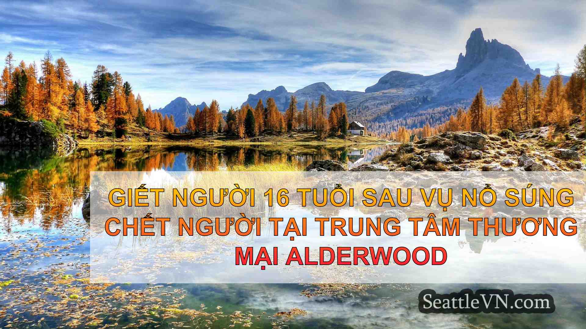 tin tức seattle SeattleVN