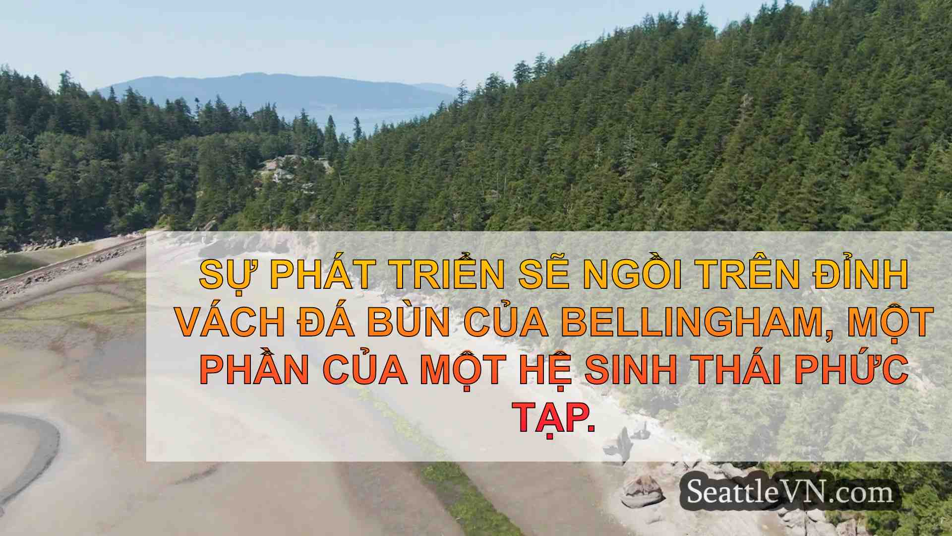 Hàng xóm chiến đấu để bảo vệ bờ biển