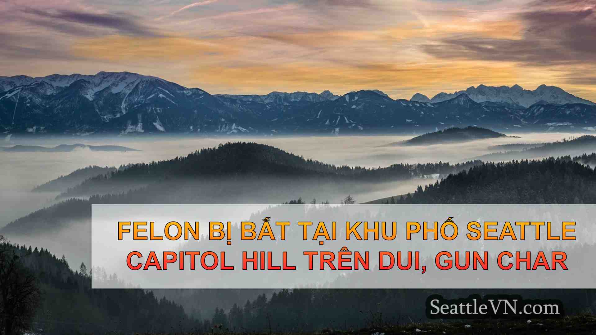 tin tức seattle SeattleVN
