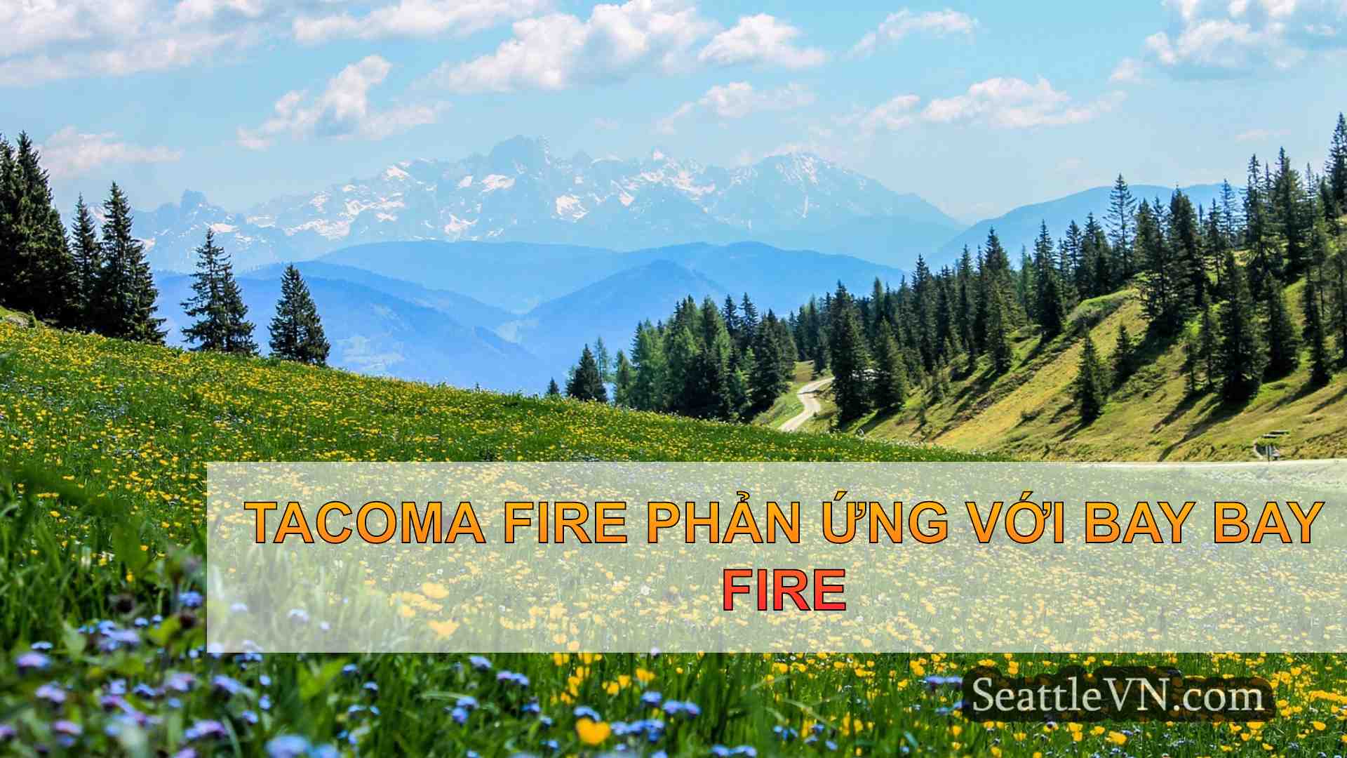 Tacoma Fire phản ứng với Bay Bay Fire