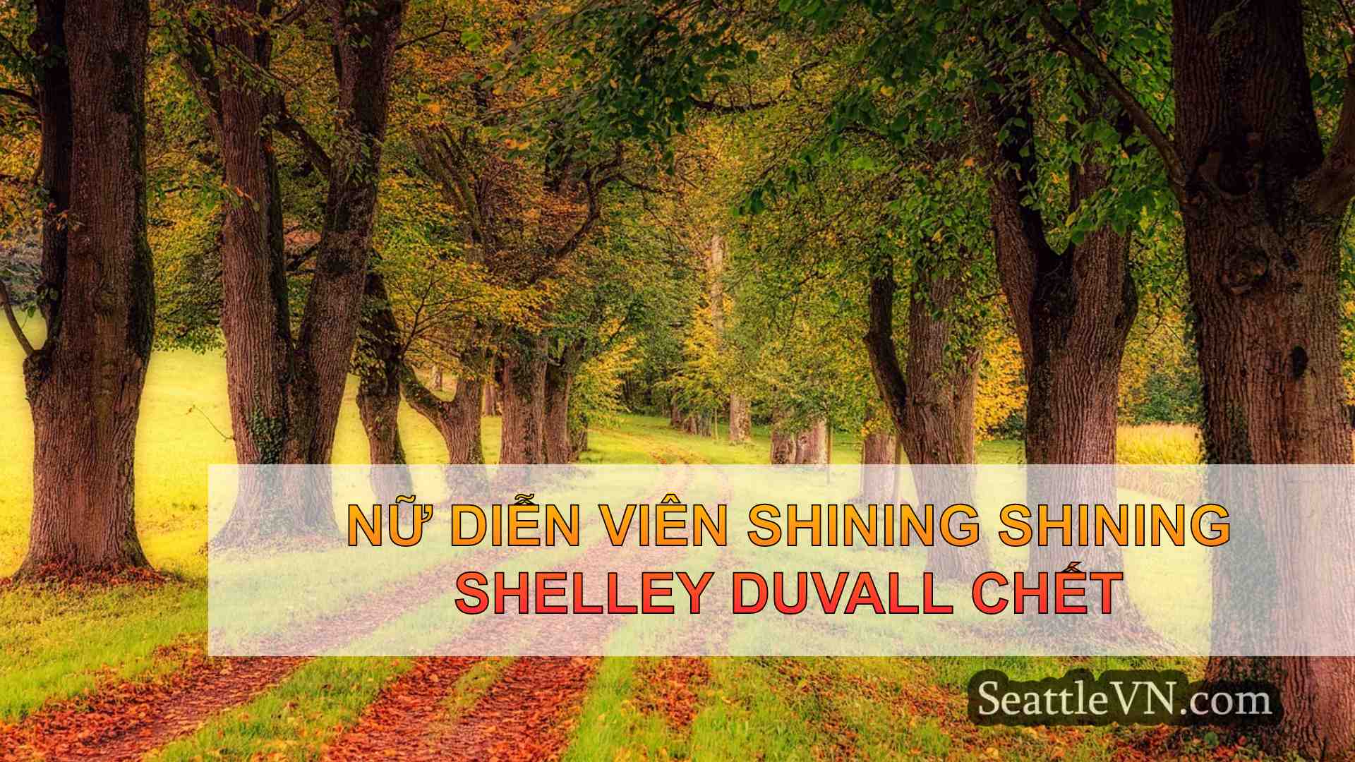 tin tức seattle SeattleVN