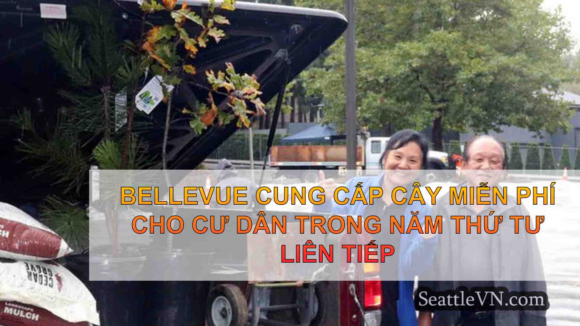 Bellevue cung cấp cây miễn phí cho cư