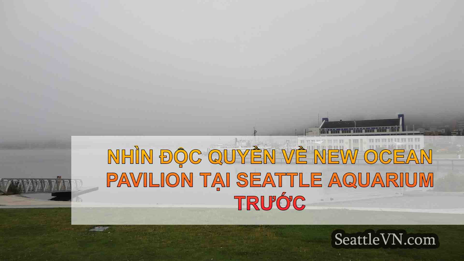 Nhìn độc quyền về New Ocean Pavilion