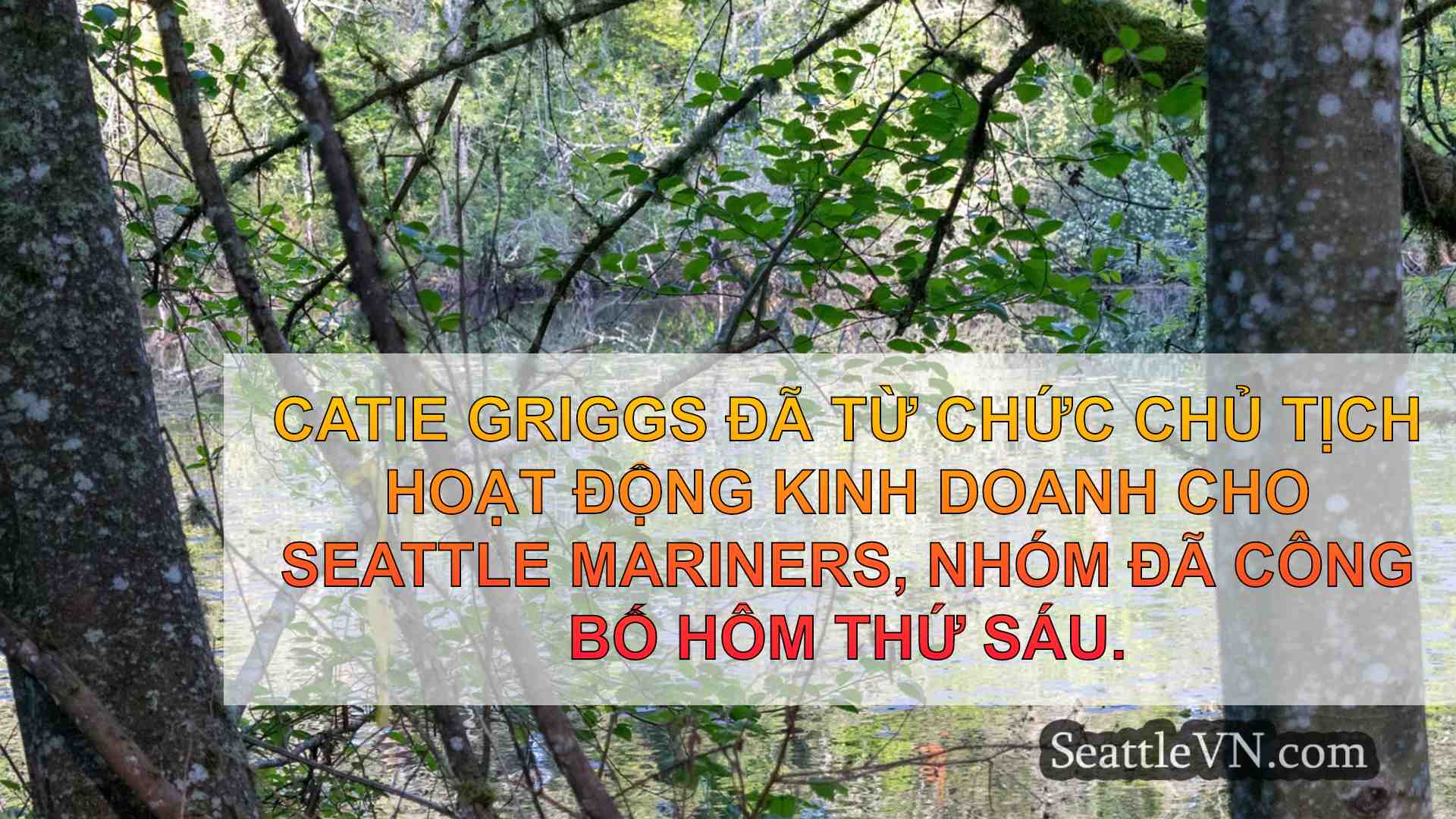 tin tức seattle SeattleVN