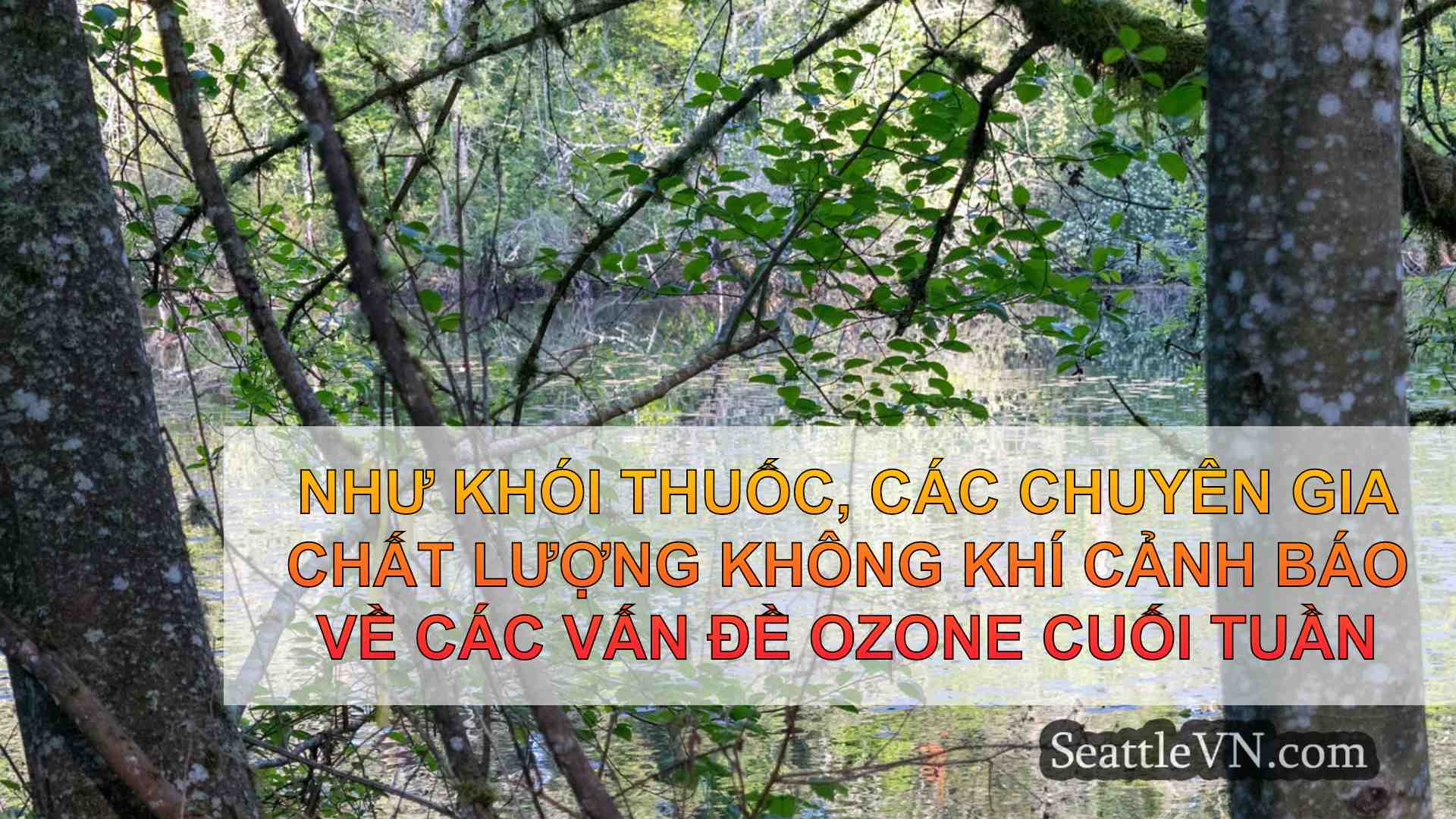 tin tức seattle SeattleVN
