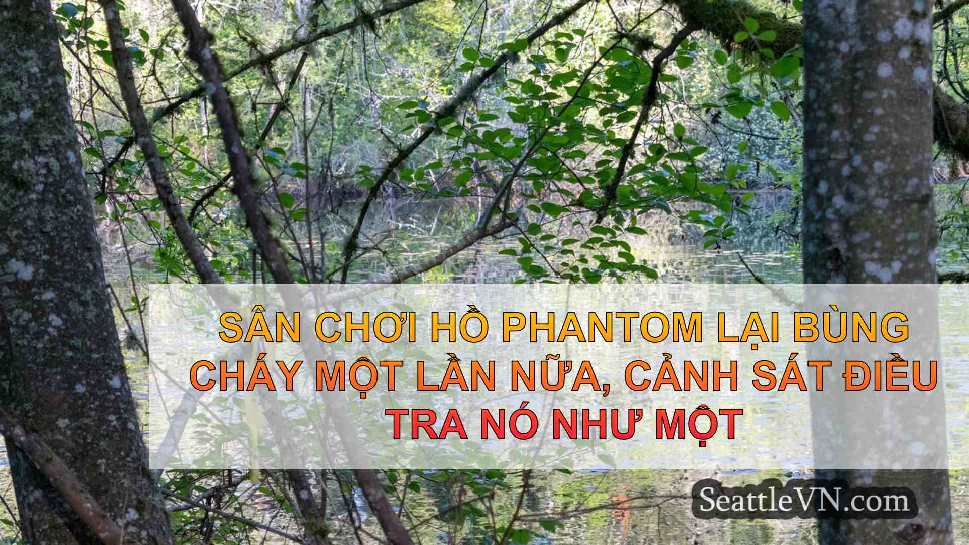 tin tức seattle SeattleVN