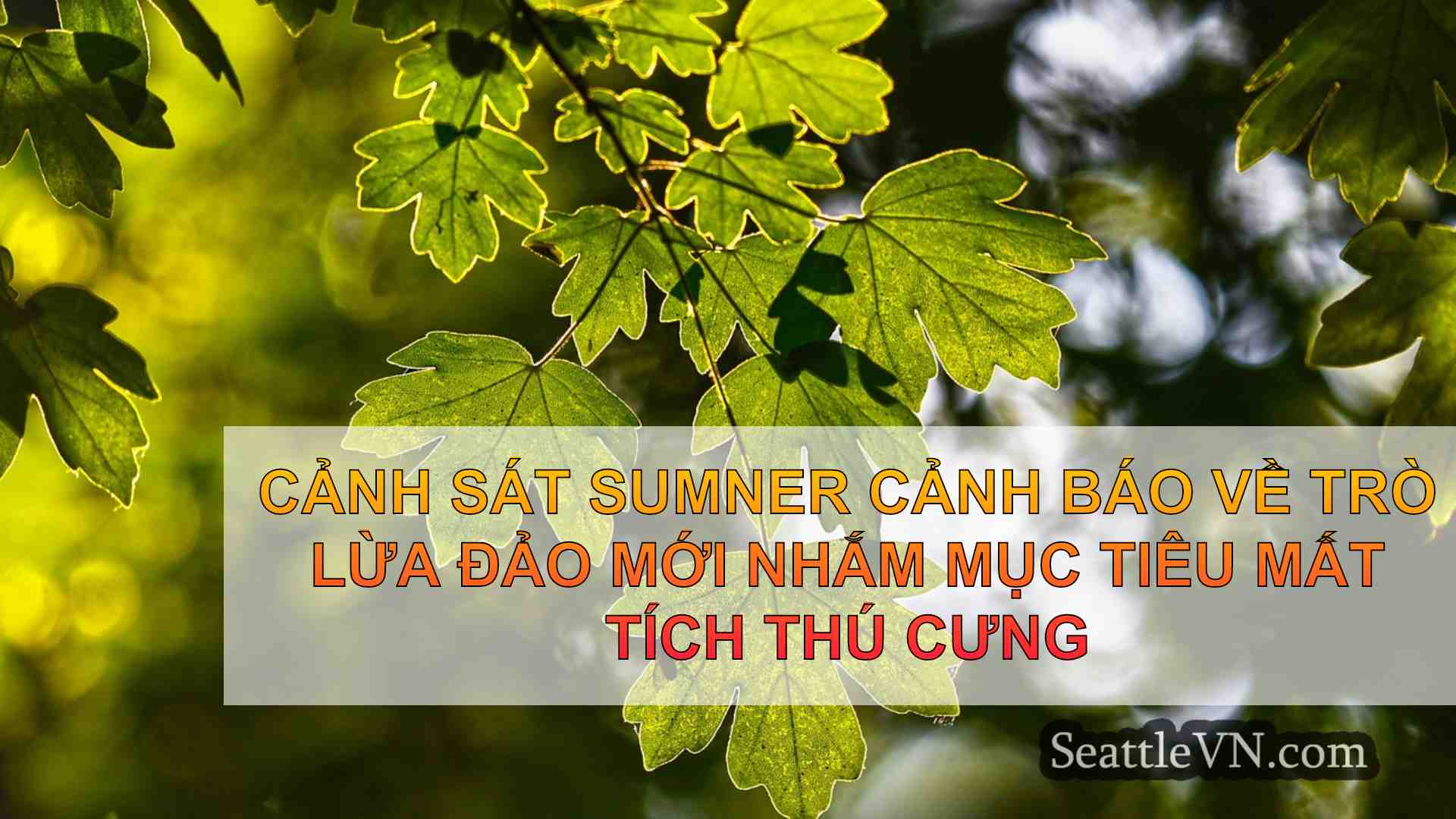 tin tức seattle SeattleVN
