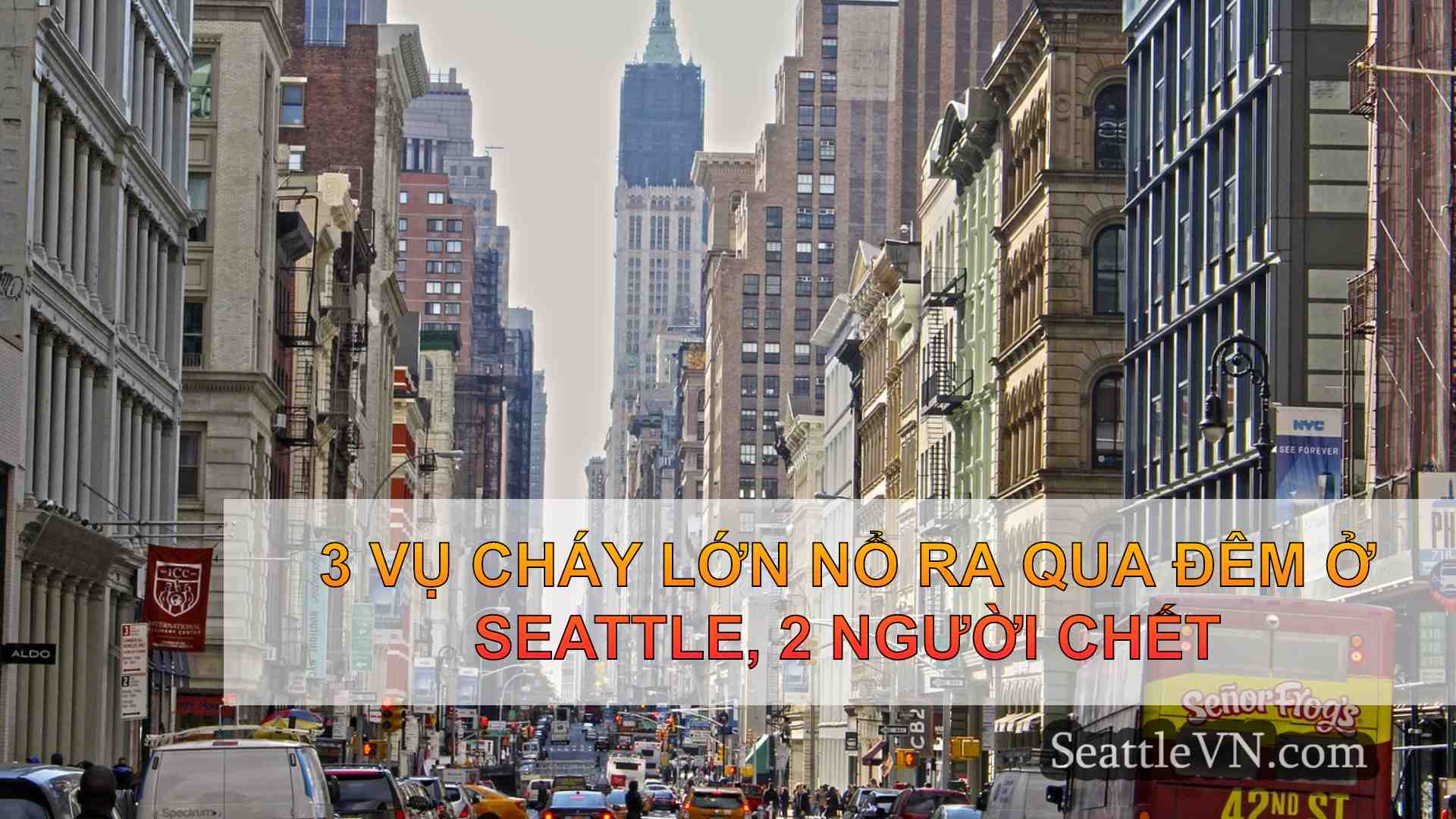 tin tức seattle SeattleVN