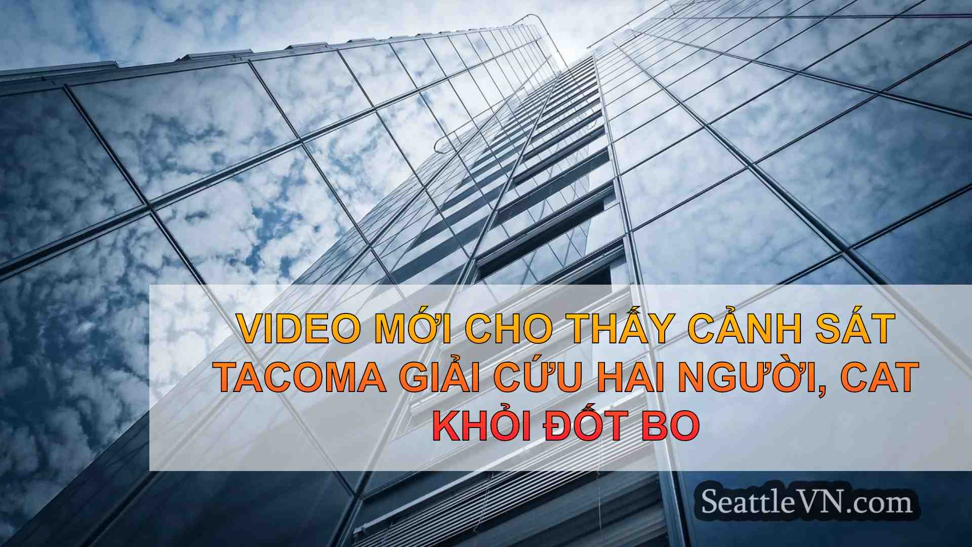 tin tức seattle SeattleVN