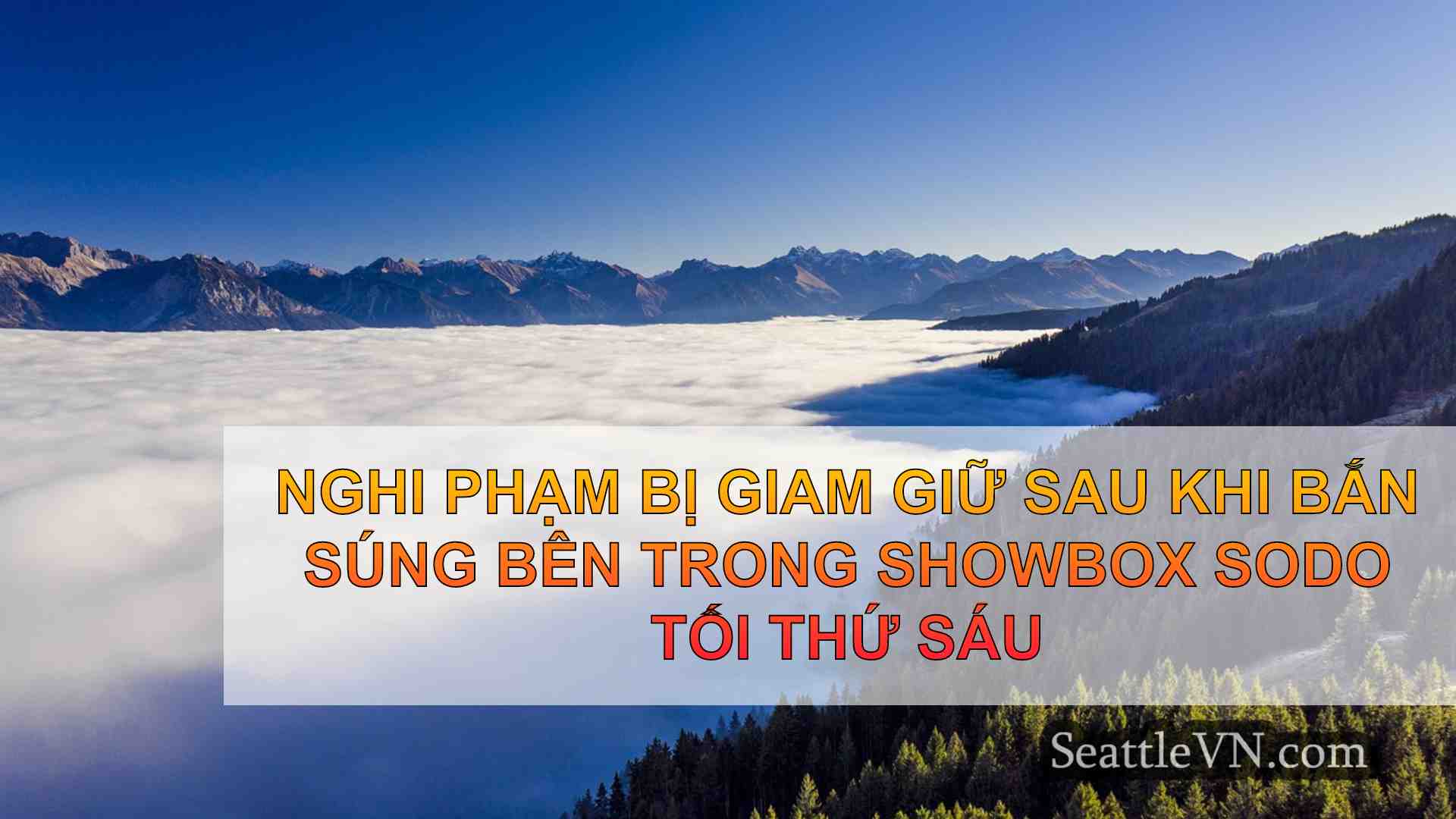 Nghi phạm bị giam giữ sau khi bắn súng