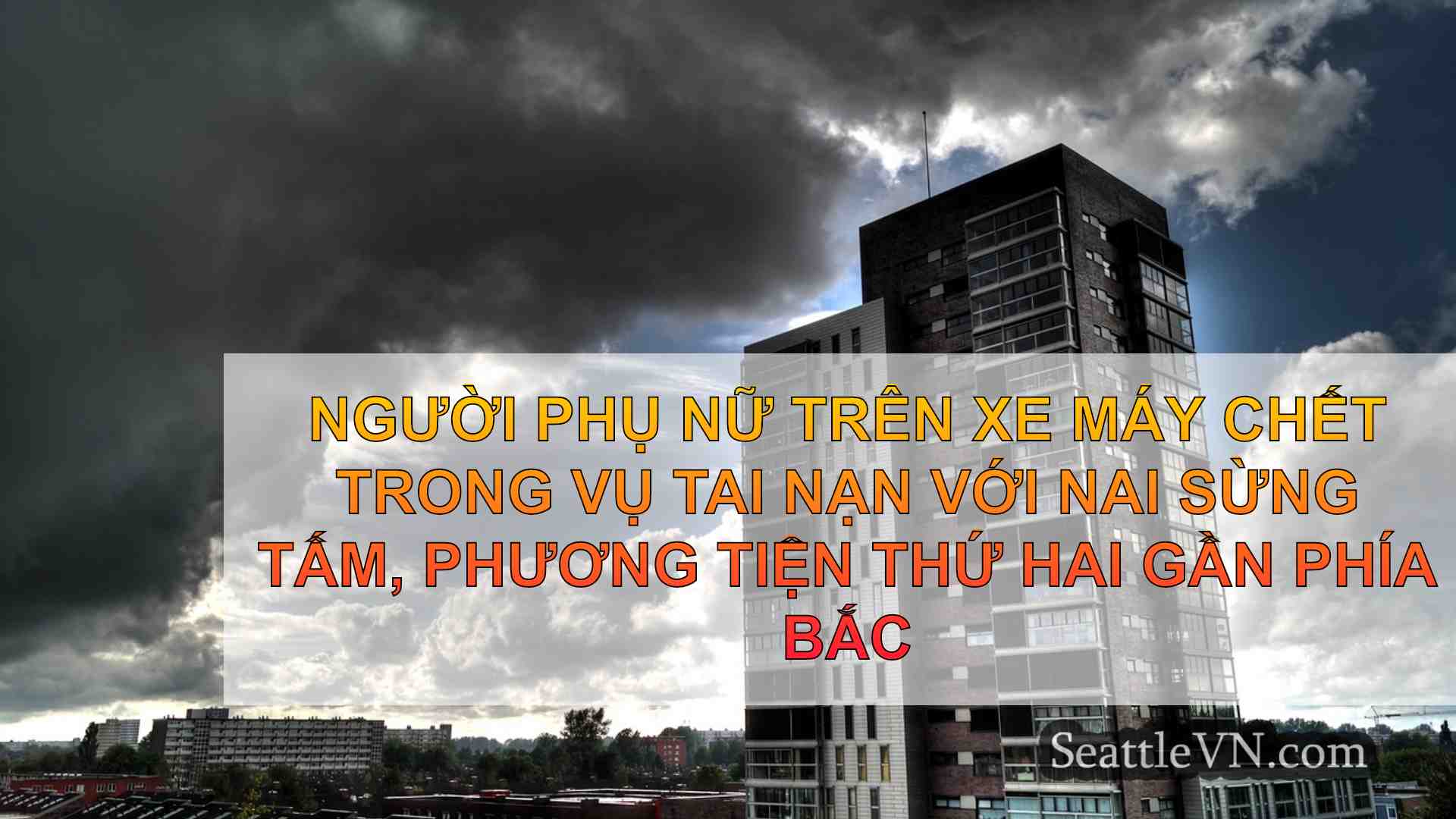 tin tức seattle SeattleVN