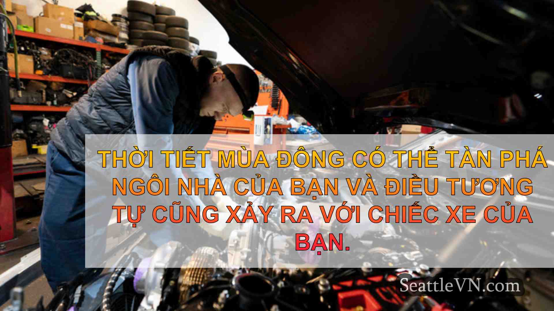 tin tức seattle SeattleVN