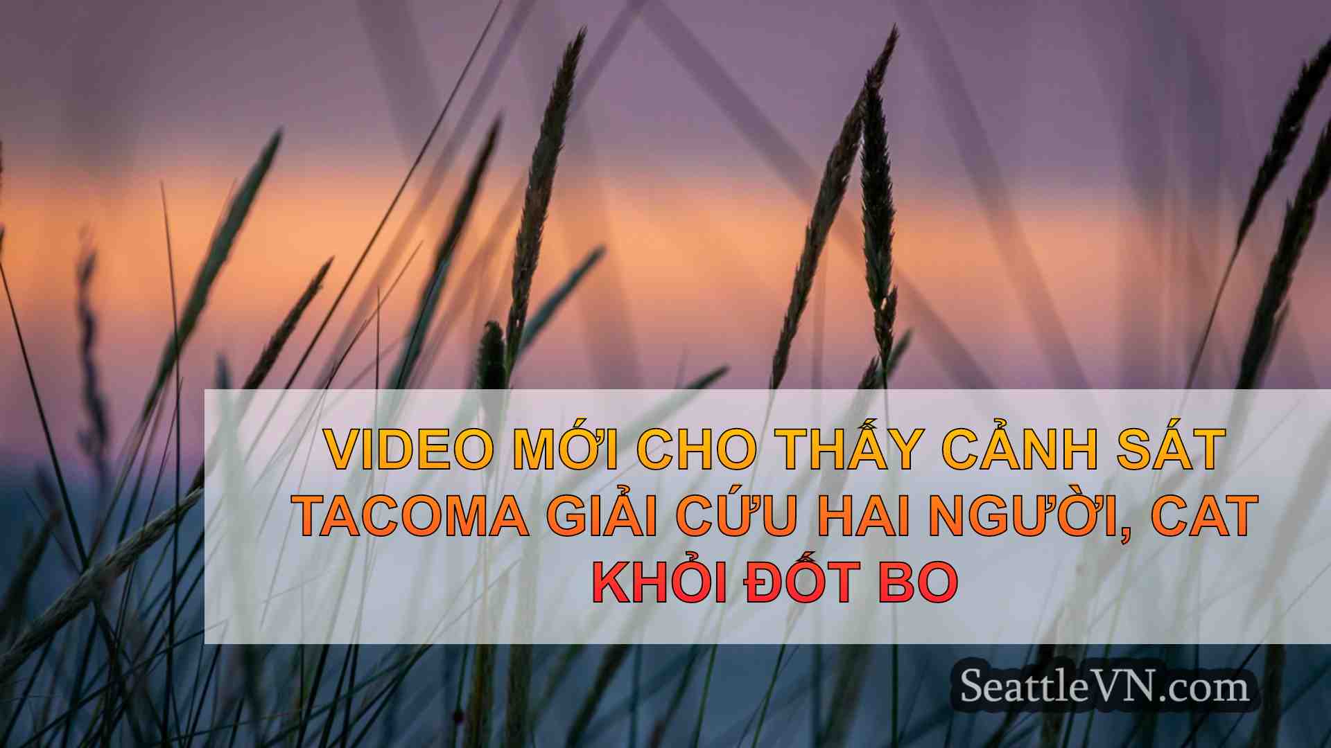 tin tức seattle SeattleVN