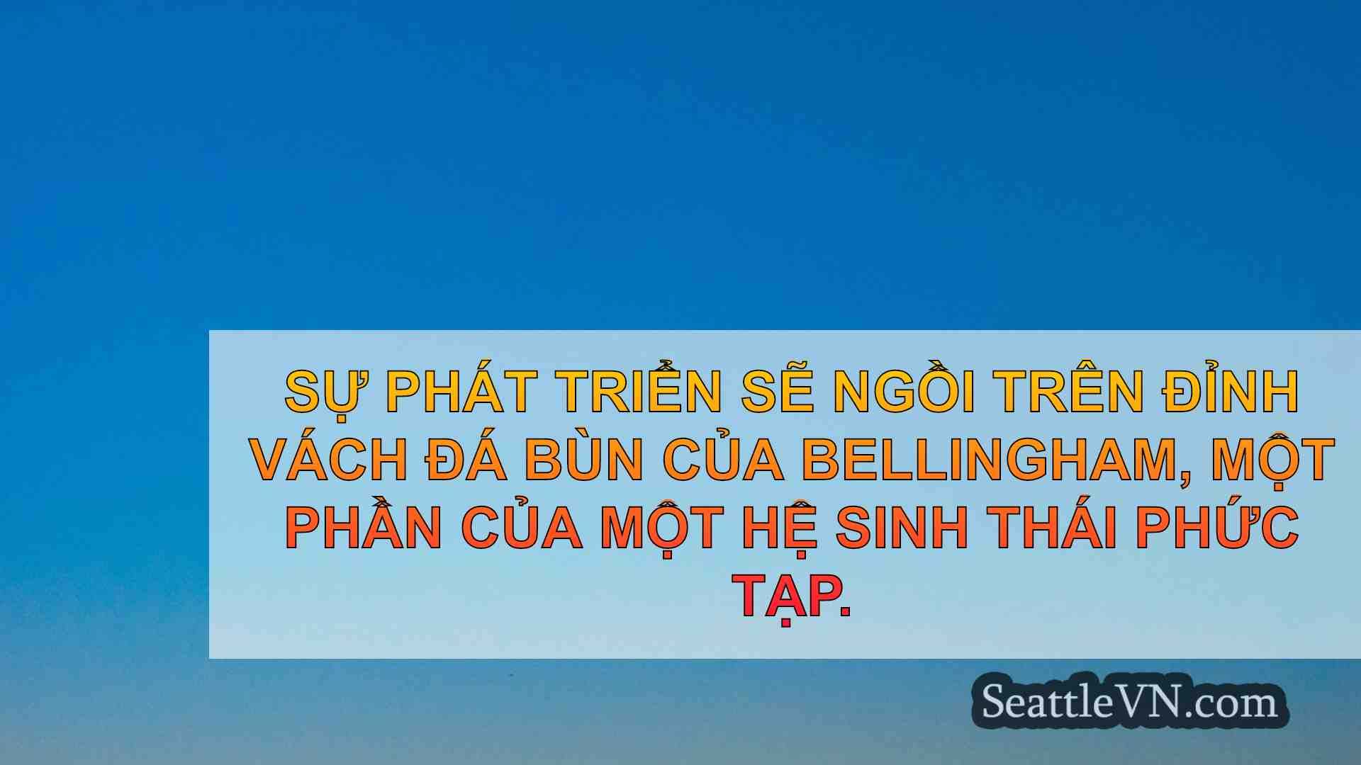 tin tức seattle SeattleVN