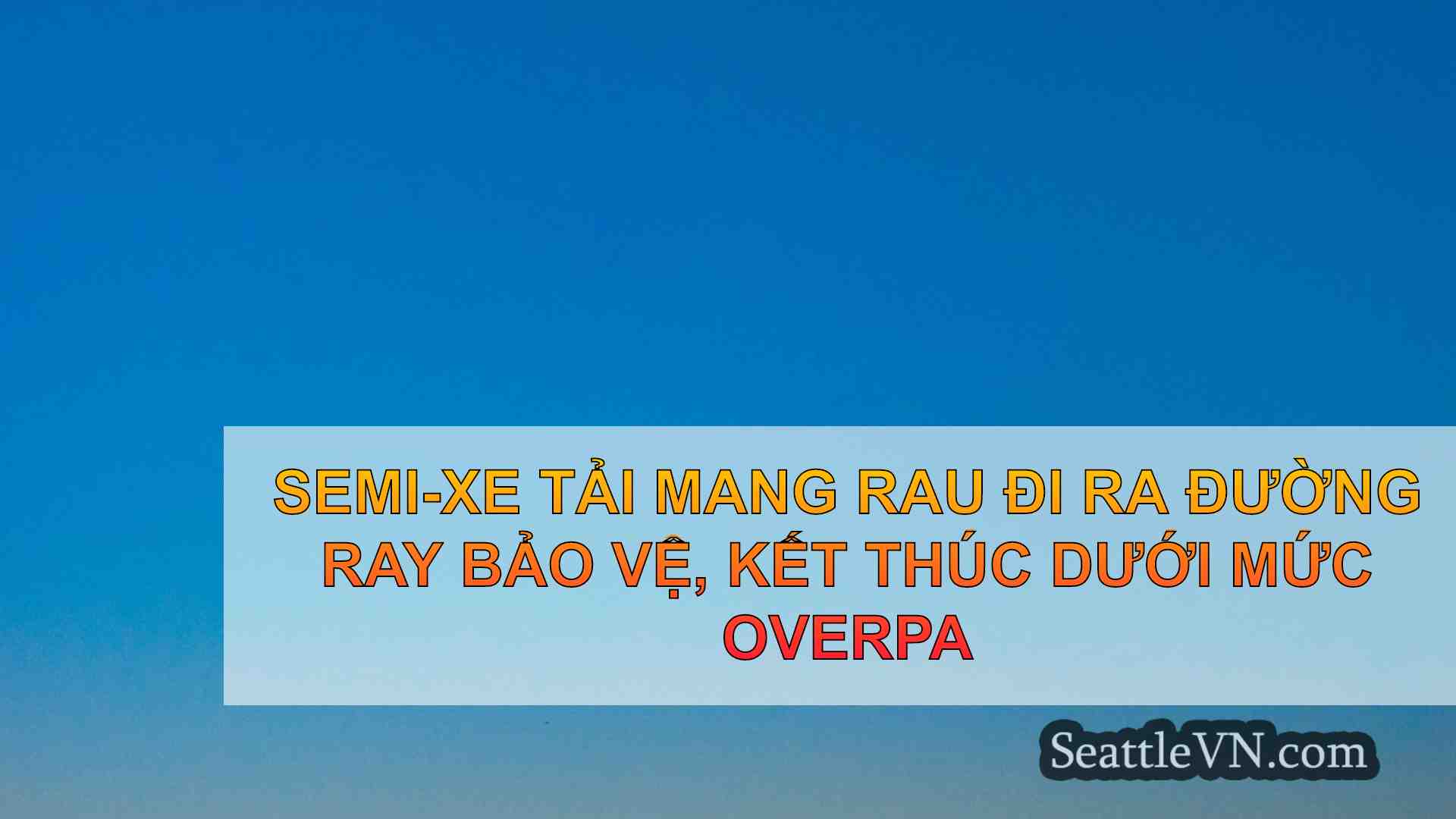 tin tức seattle SeattleVN