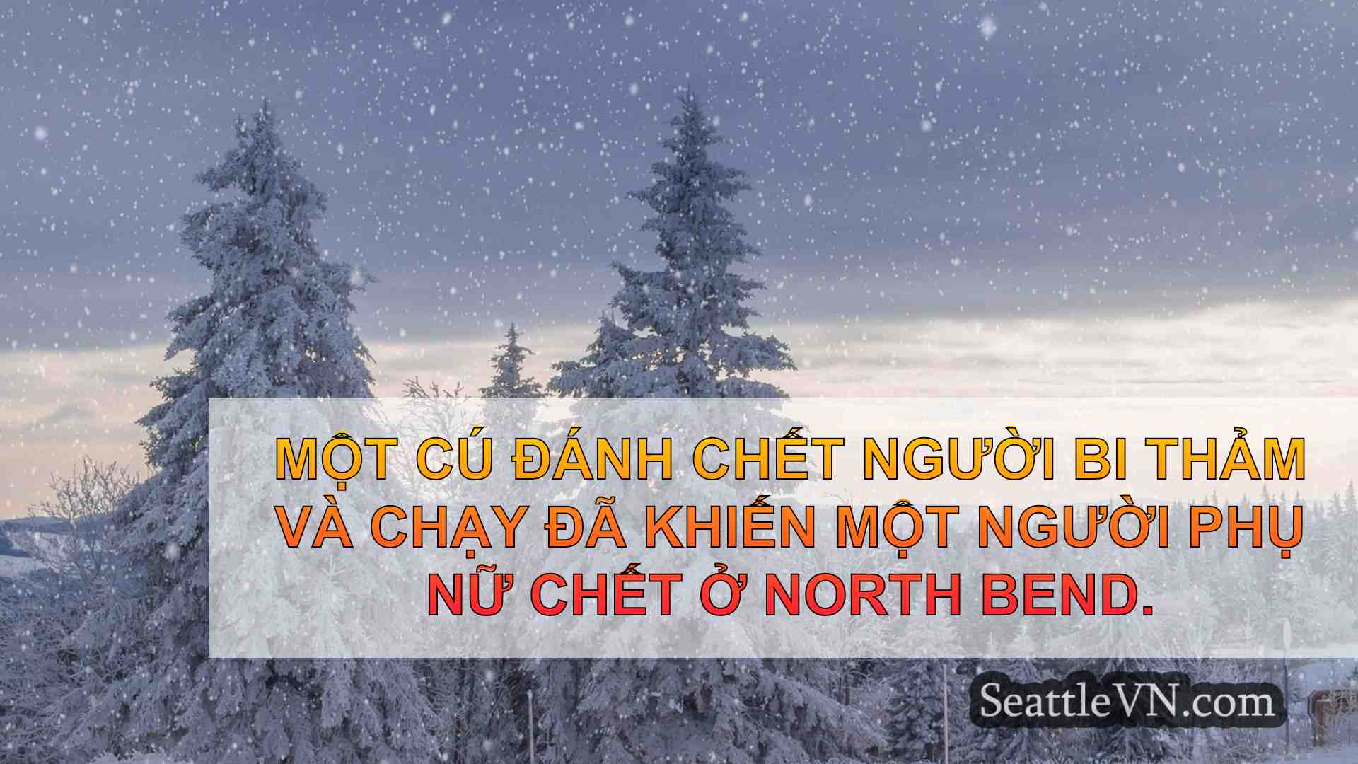 tin tức seattle SeattleVN