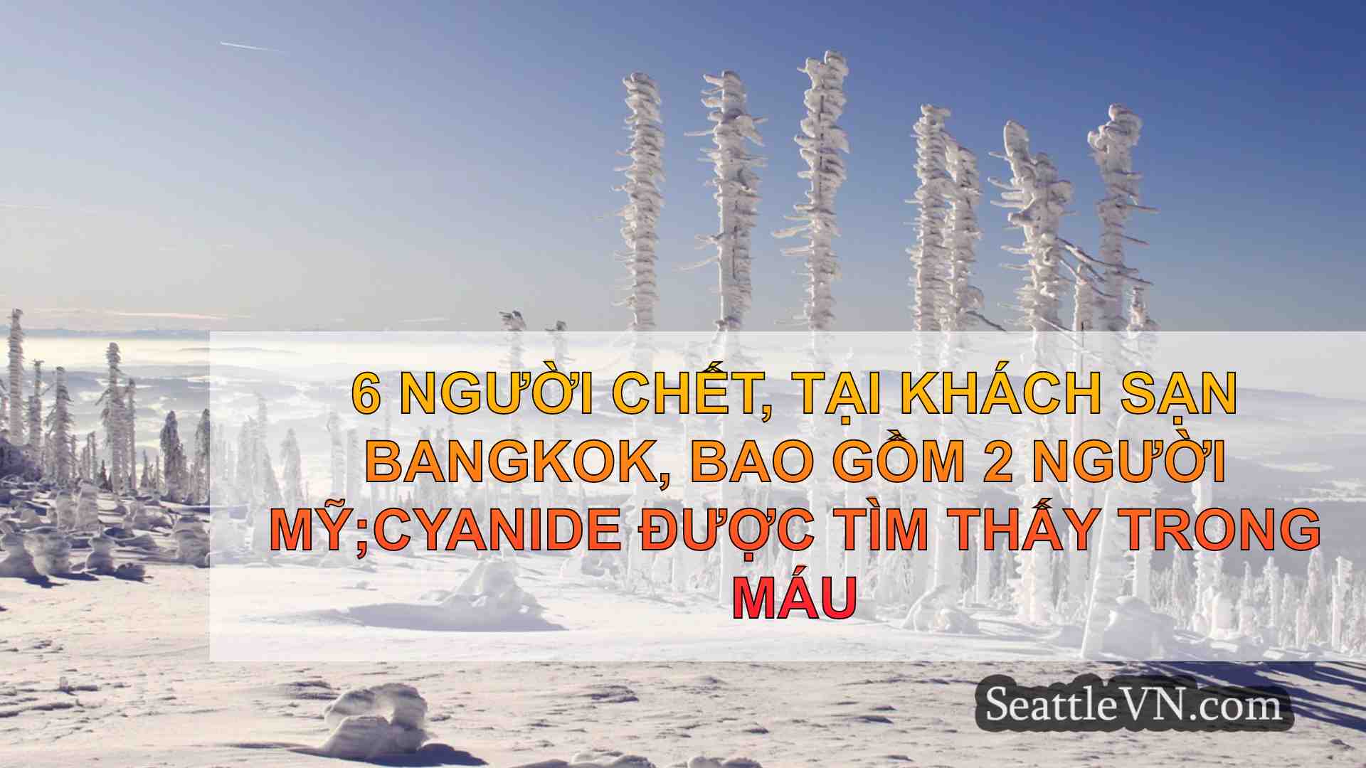 tin tức seattle SeattleVN