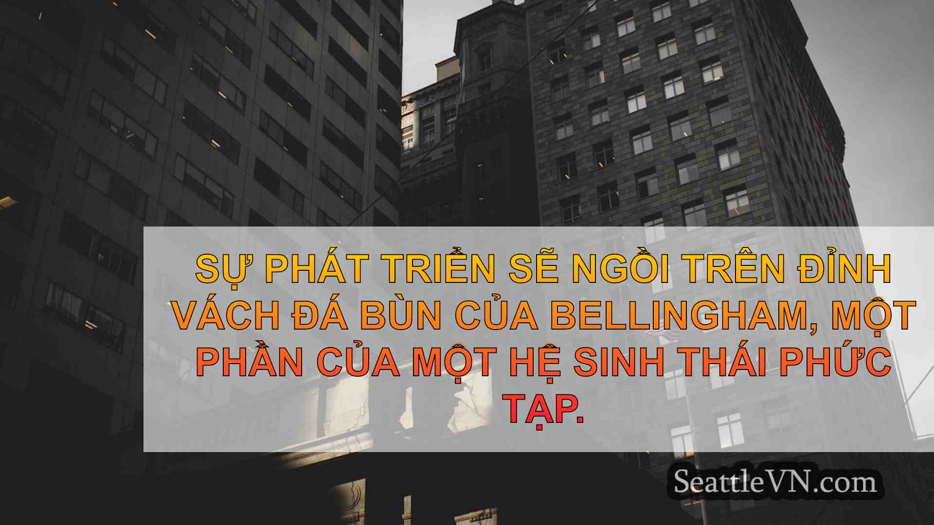 tin tức seattle SeattleVN