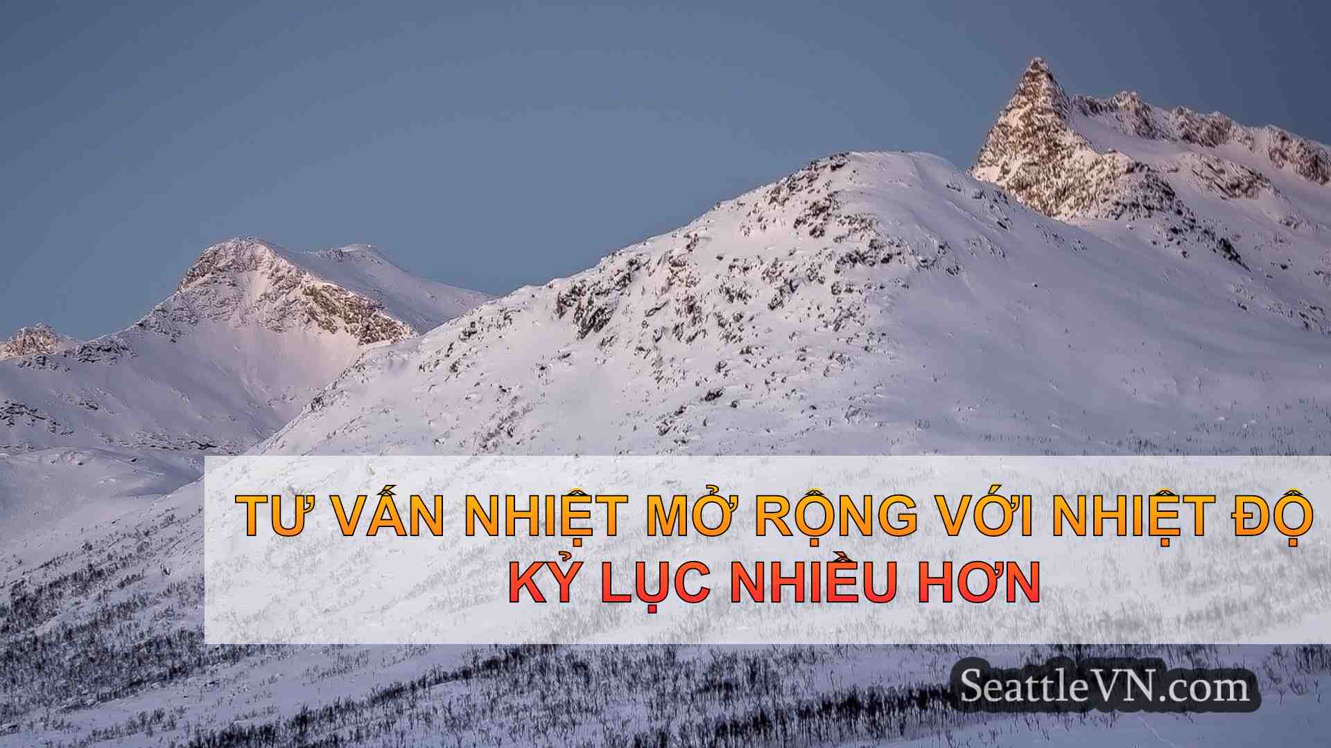 tin tức seattle SeattleVN