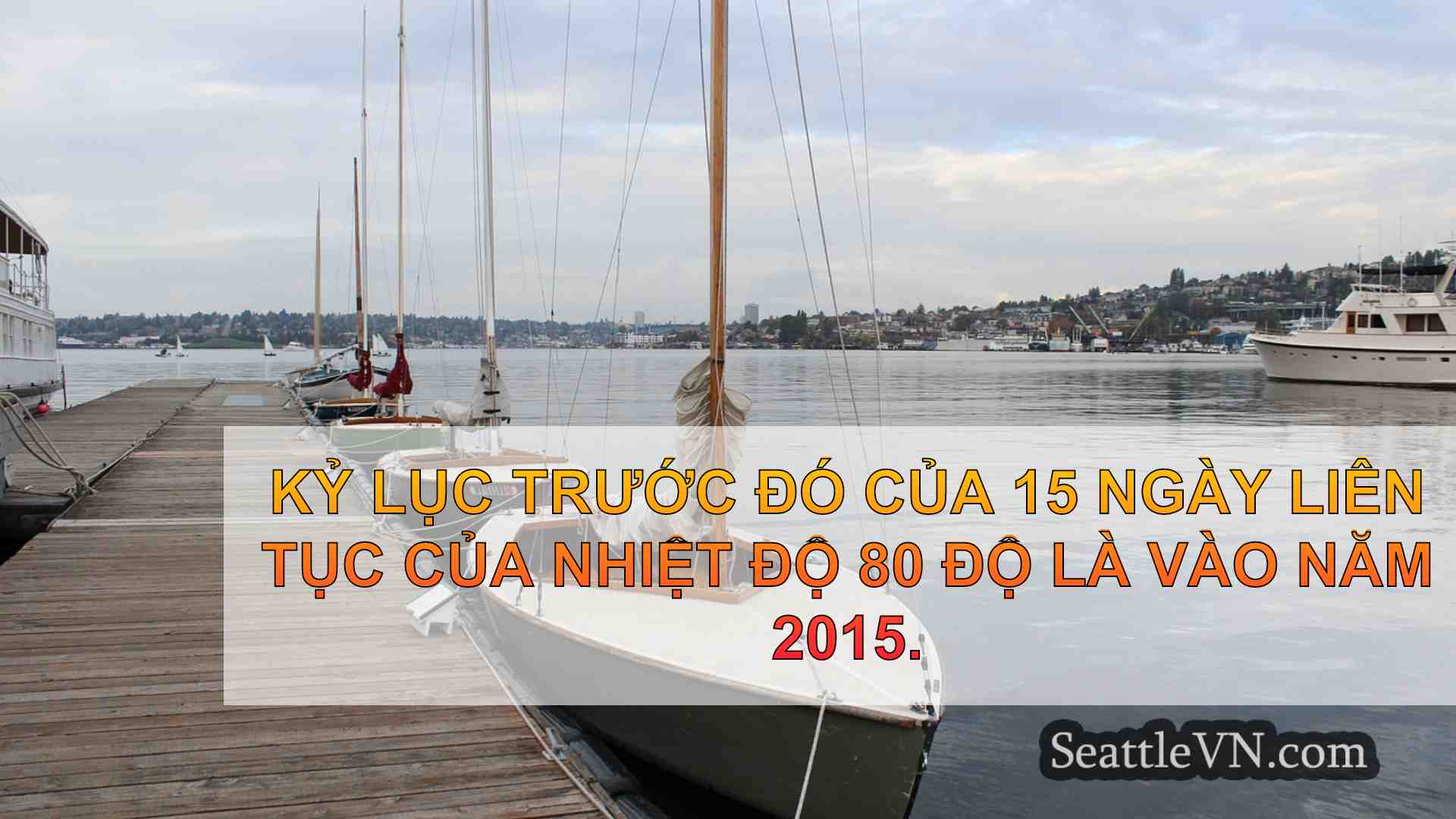 tin tức seattle SeattleVN
