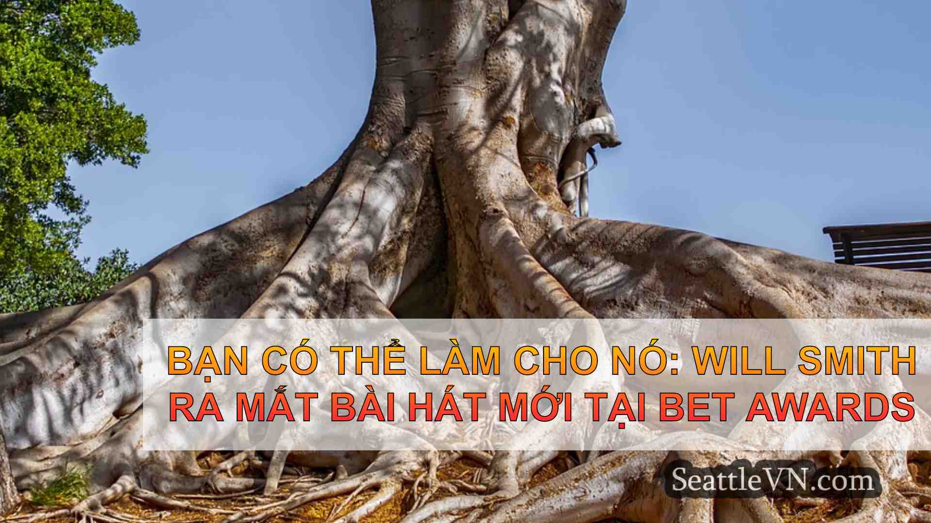 tin tức seattle SeattleVN