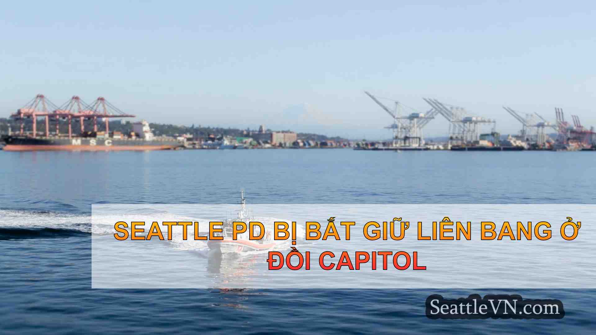 tin tức seattle SeattleVN