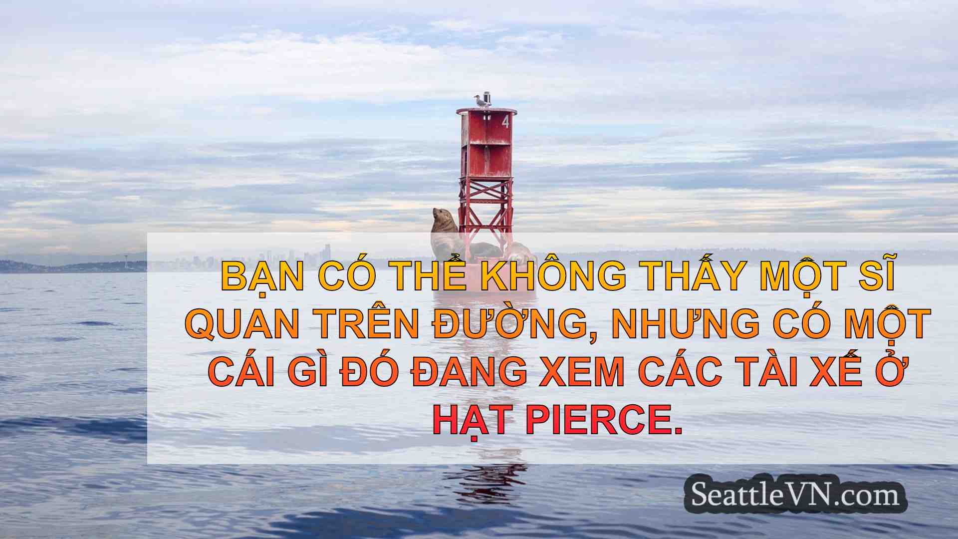 tin tức seattle SeattleVN