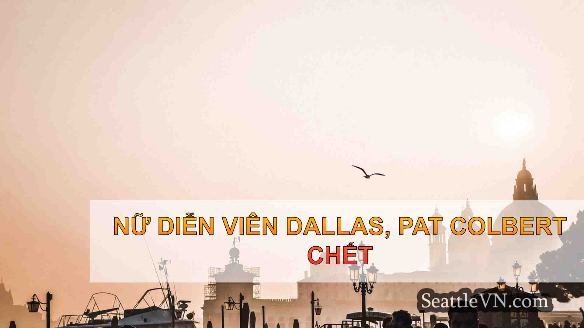 tin tức seattle SeattleVN