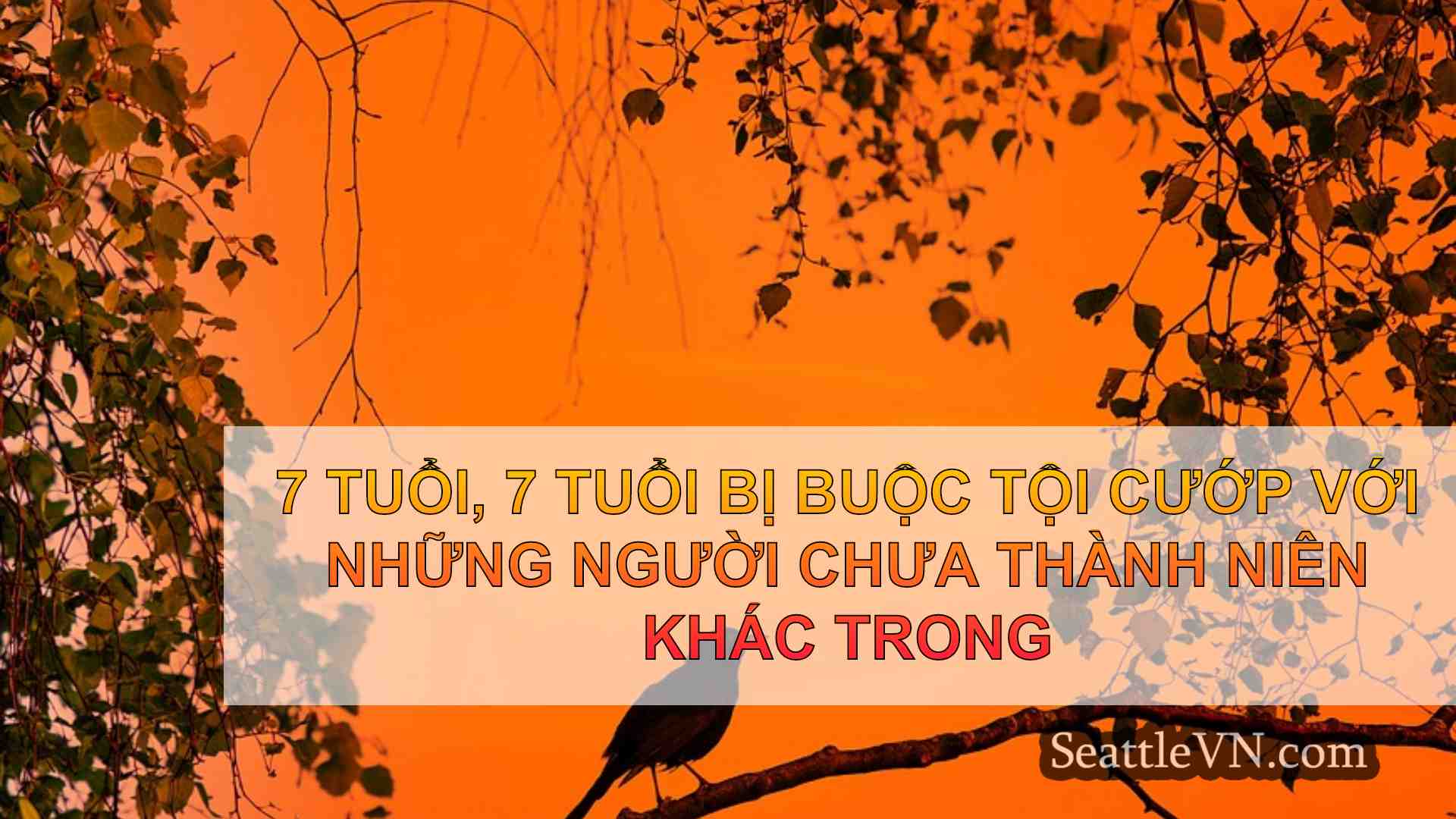tin tức seattle SeattleVN