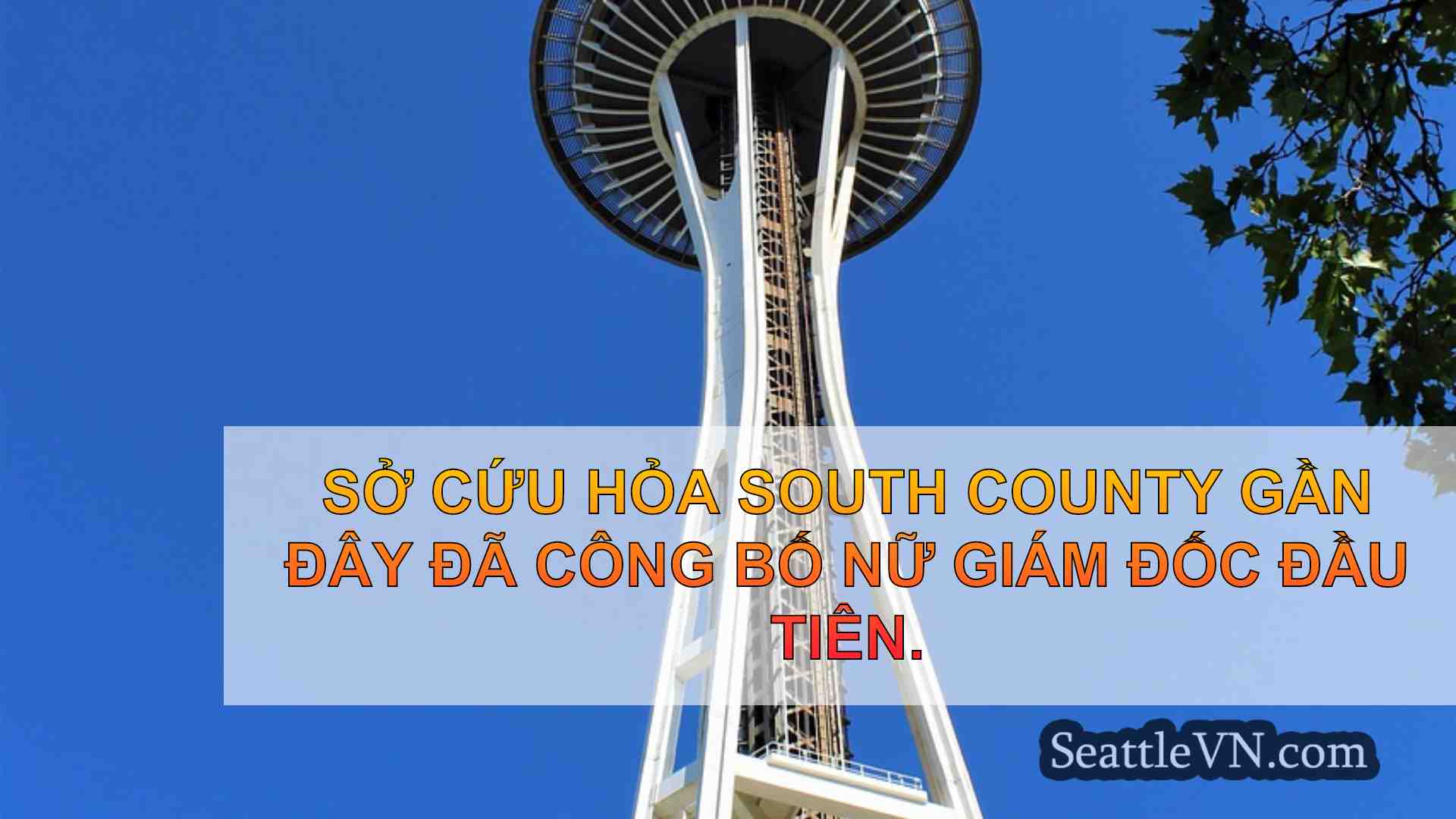 tin tức seattle SeattleVN