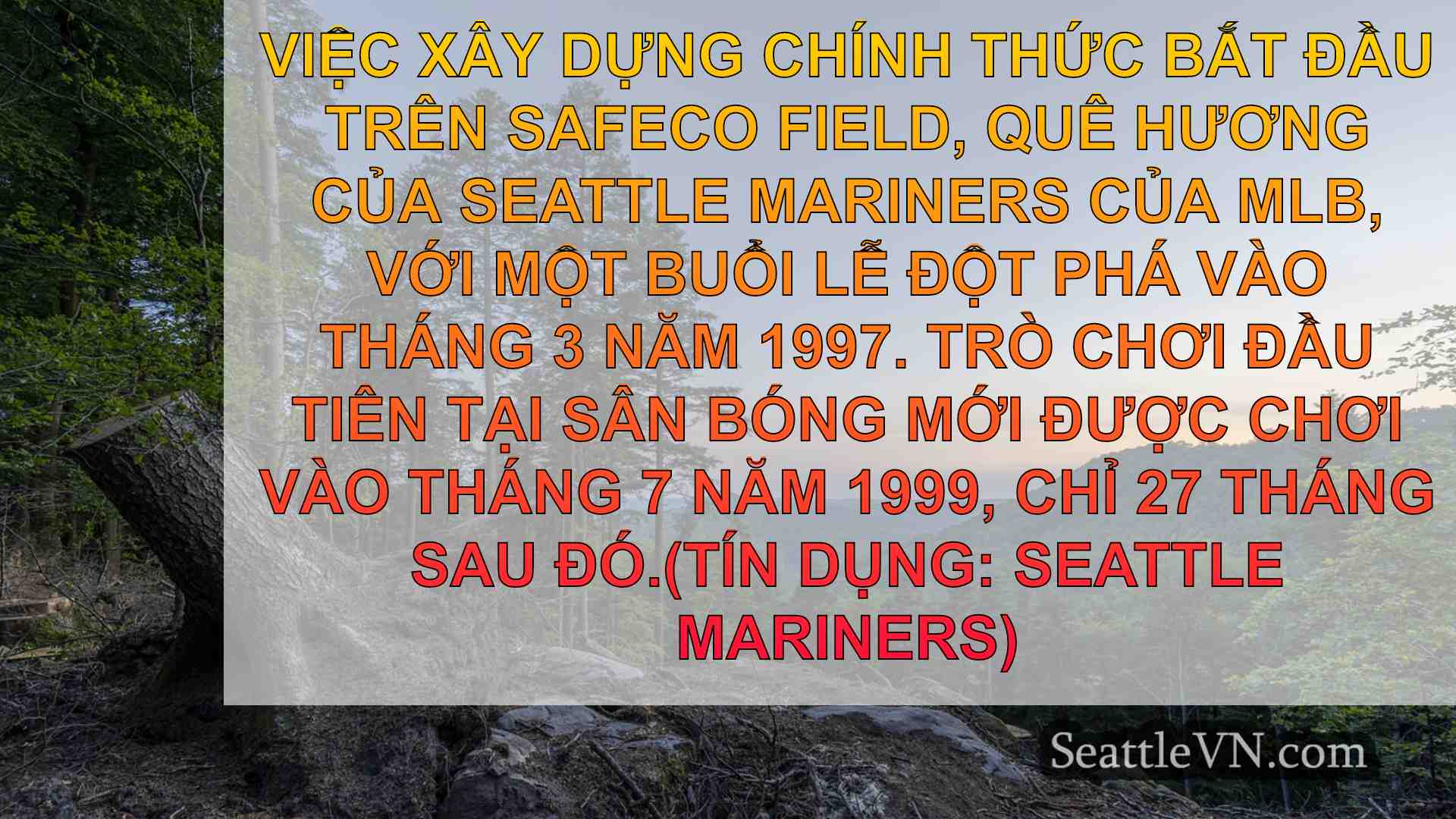 tin tức seattle SeattleVN
