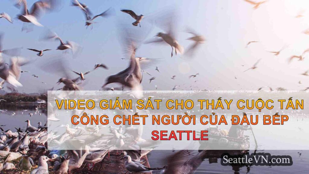 Video giám sát cho thấy cuộc tấn công