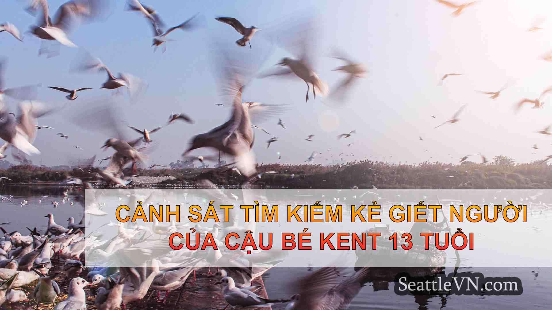 Cảnh sát tìm kiếm kẻ giết người của cậu