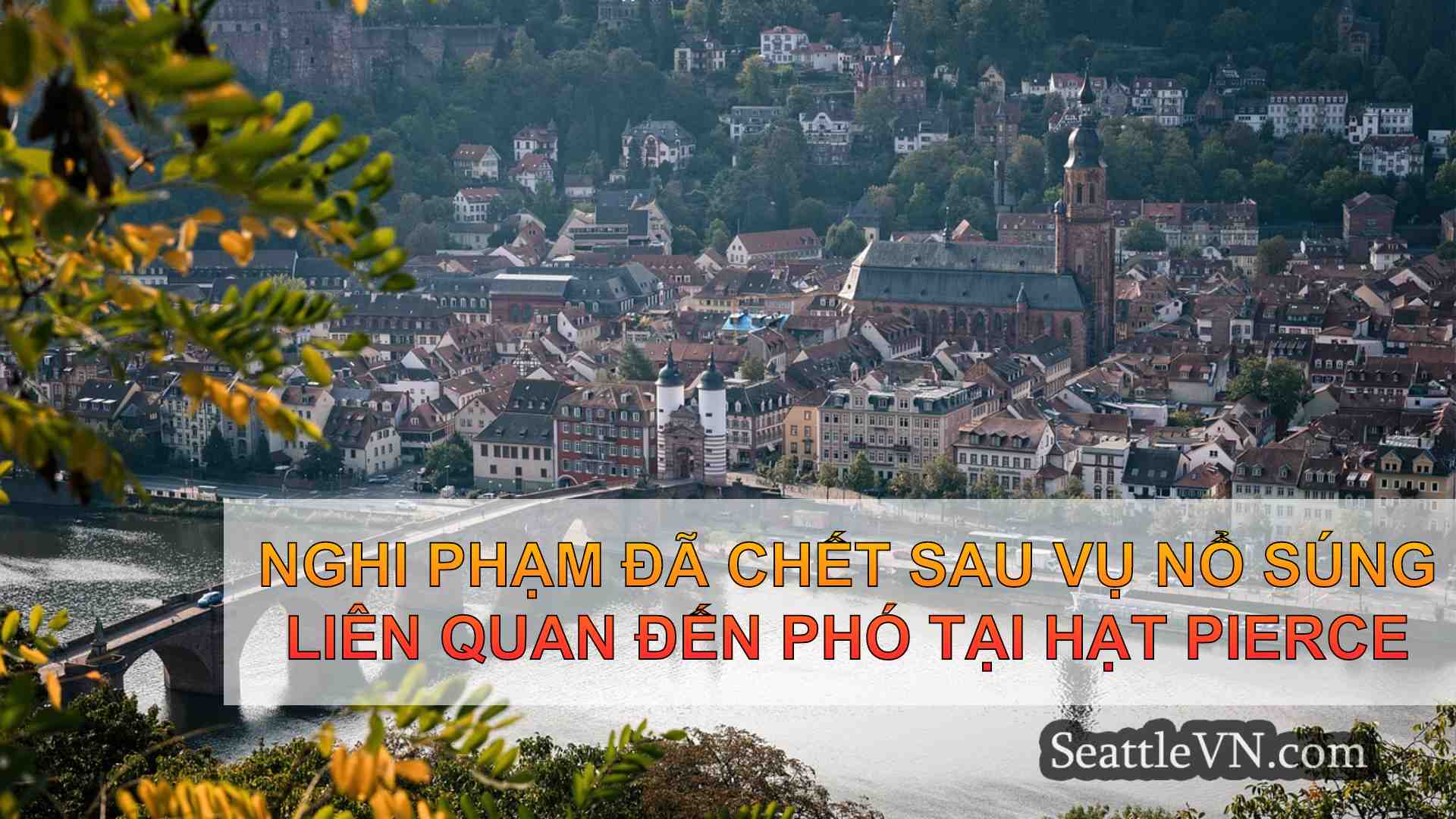 tin tức seattle SeattleVN