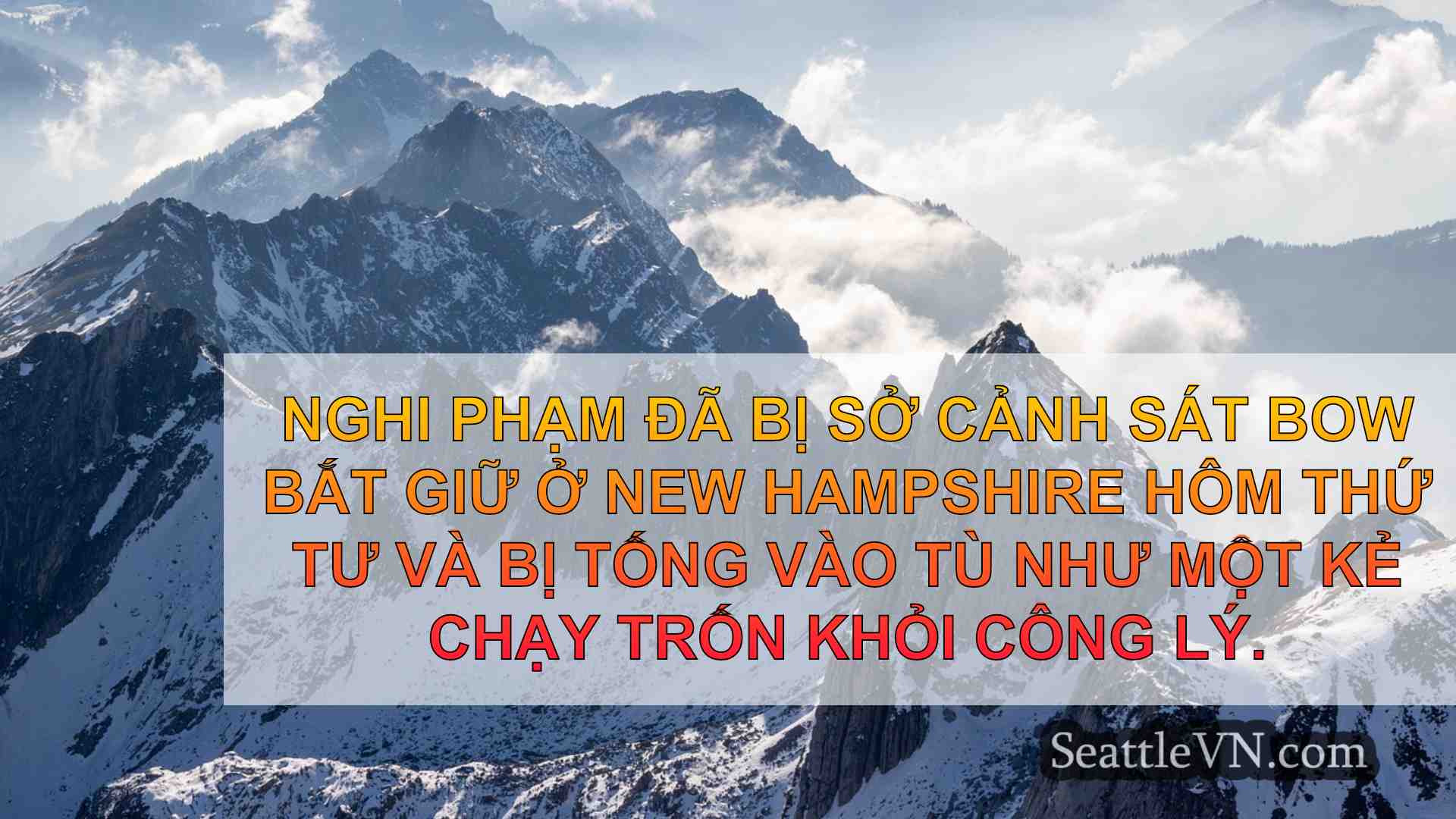 tin tức seattle SeattleVN