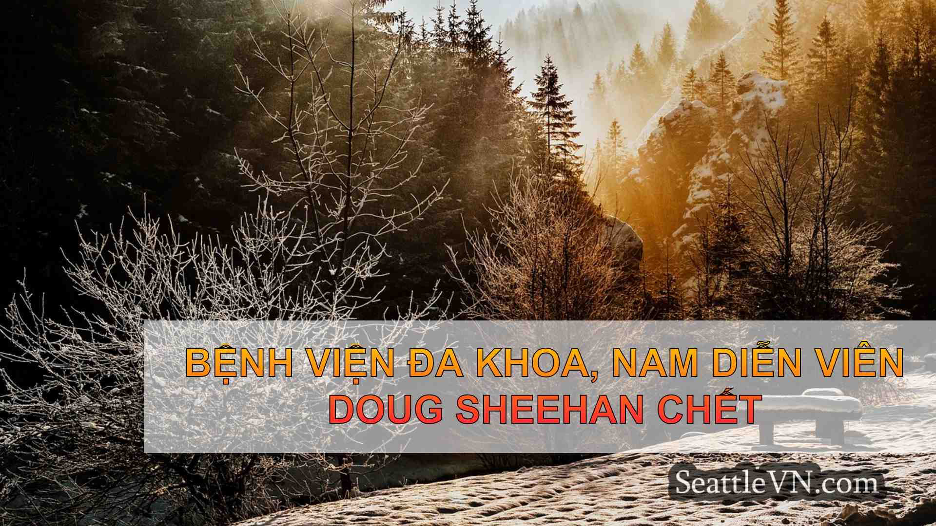 tin tức seattle SeattleVN