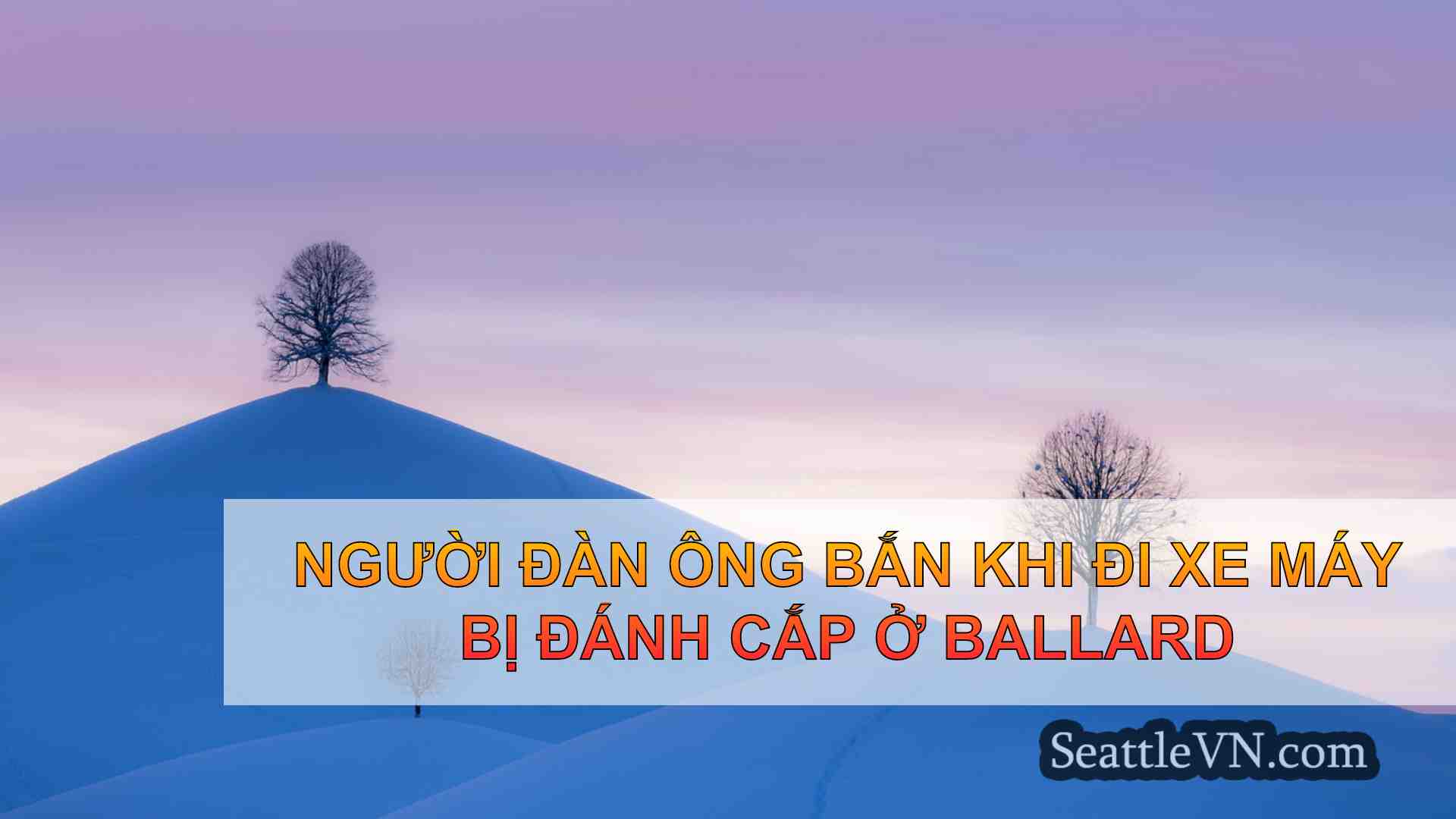 tin tức seattle SeattleVN